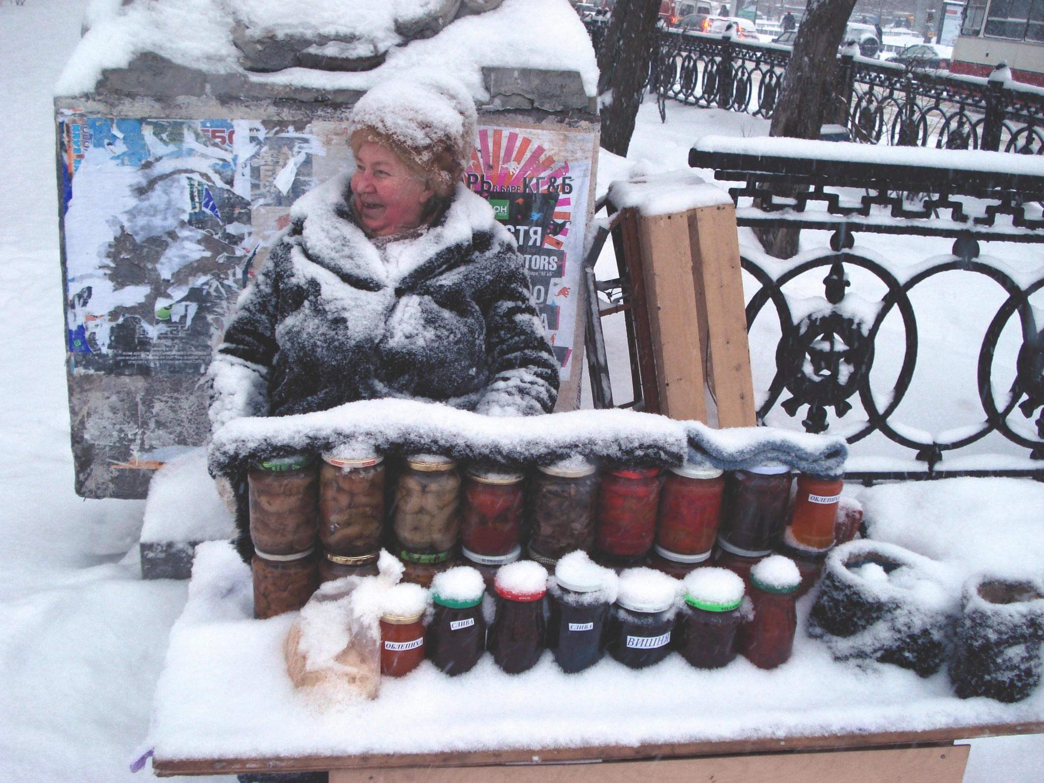 Под снегопадом