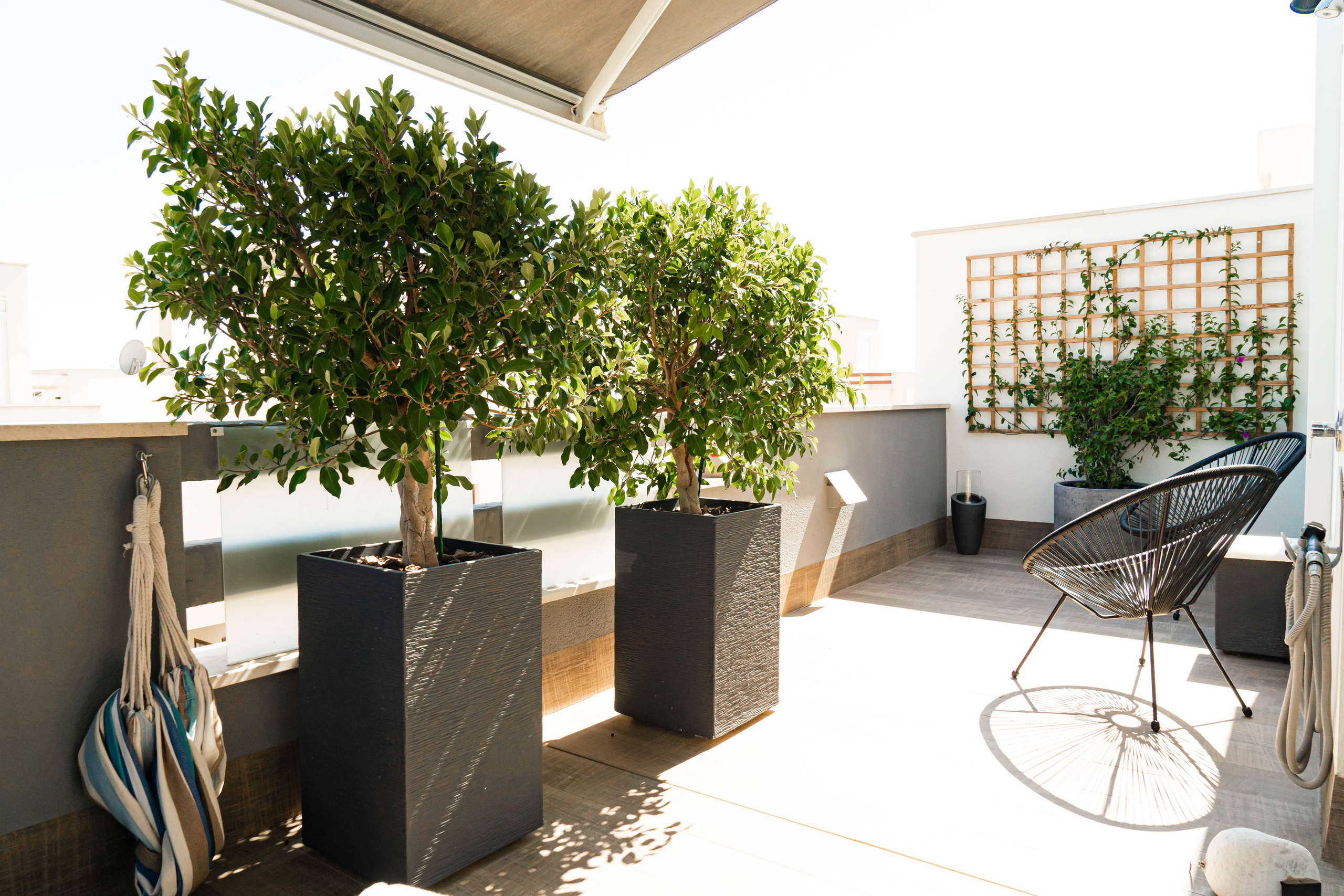 I&M GROUP. Baby Beast