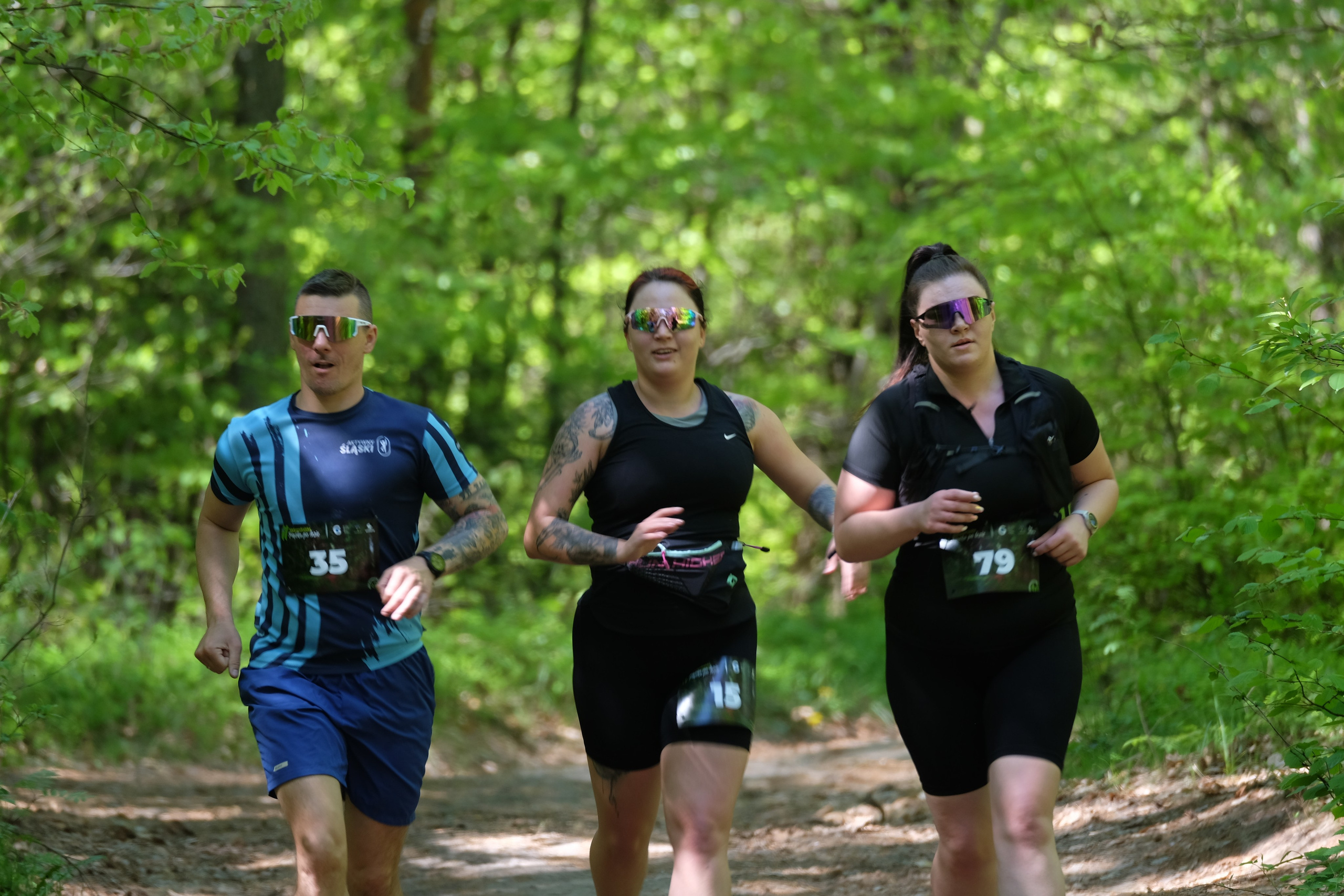 Aleksandryjska Piątka po lesie. Main