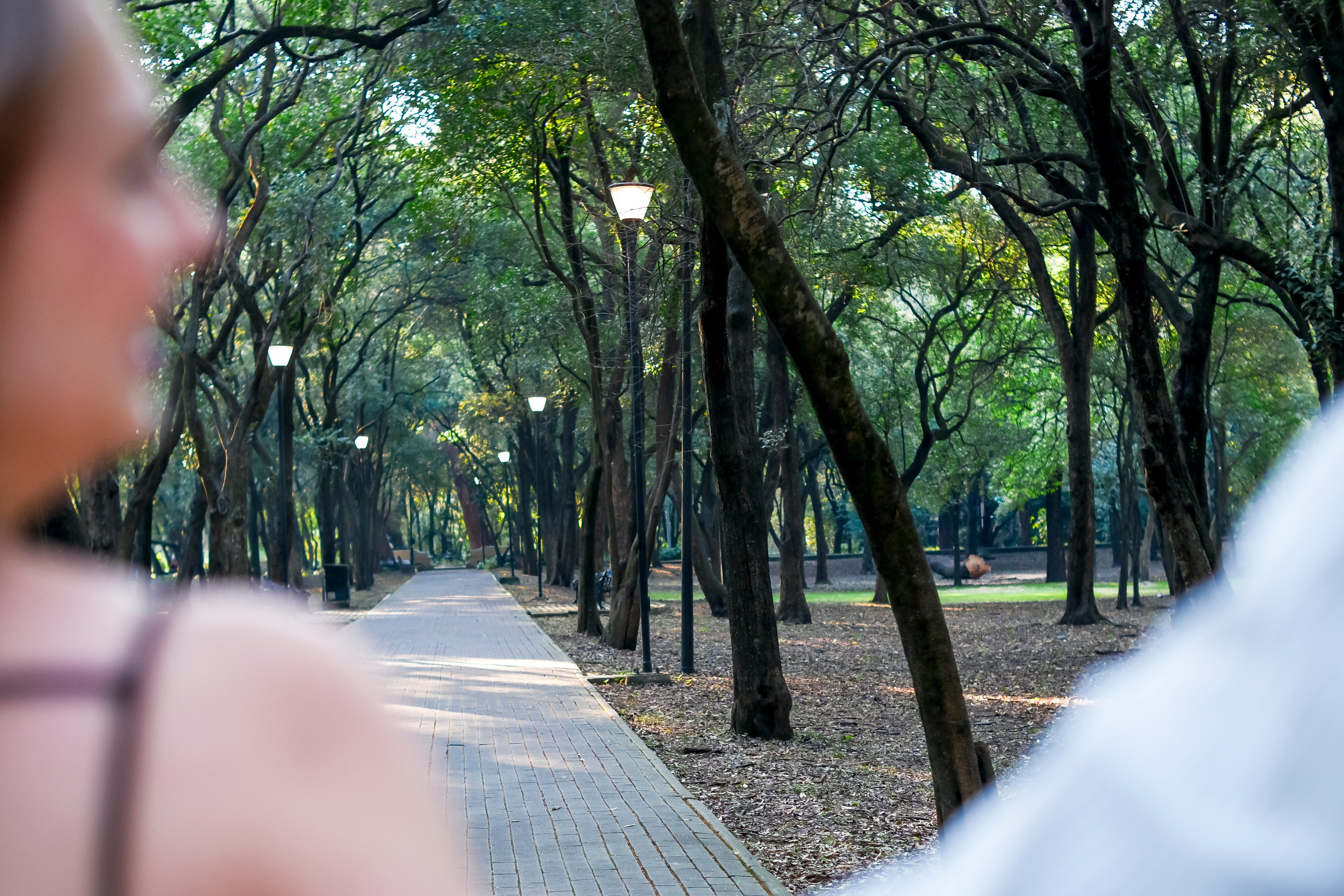 Katlin & Jacob. Wedding and family photographer in Mexico City