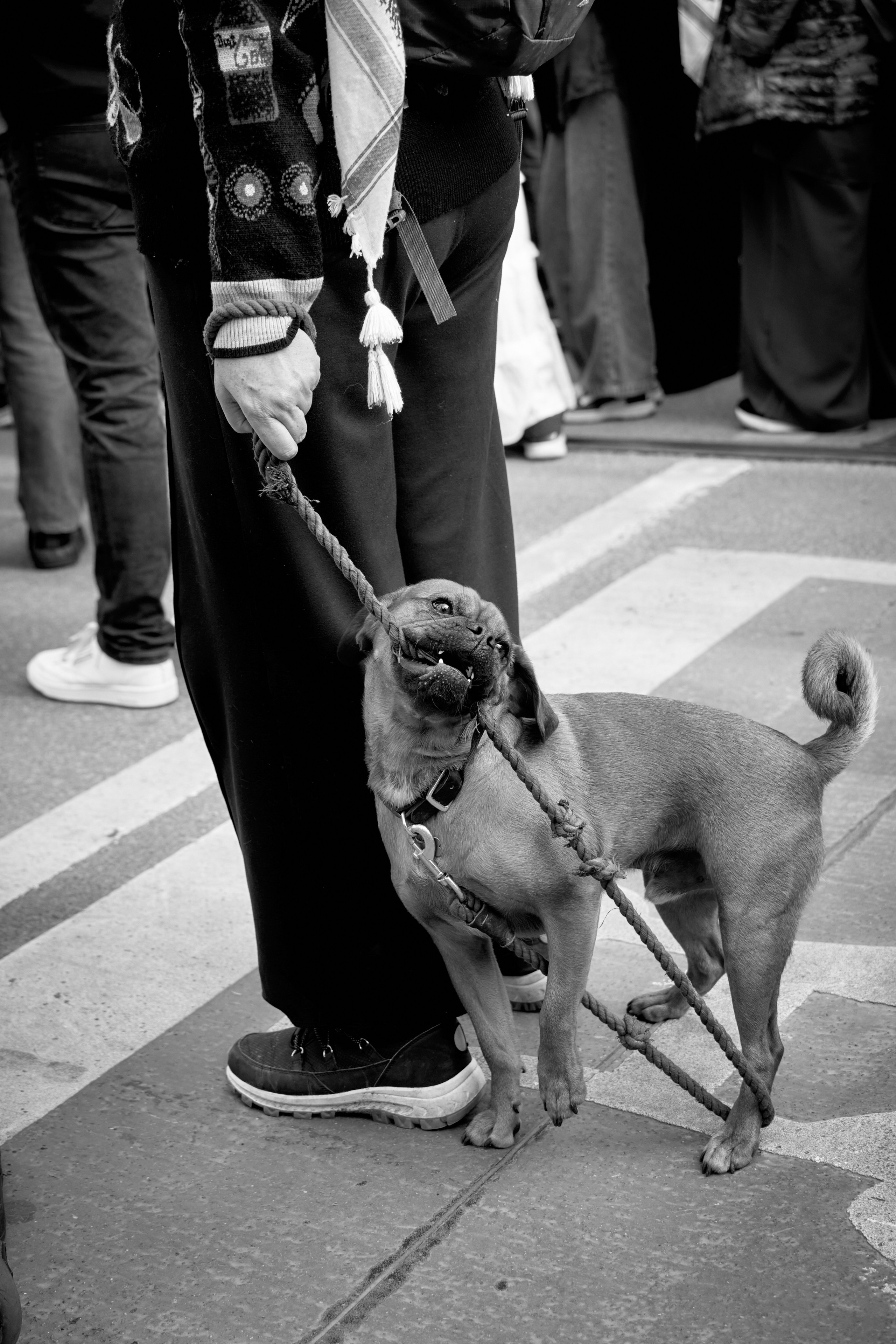 Melbourne Street Photography 2025. CARTER BNW