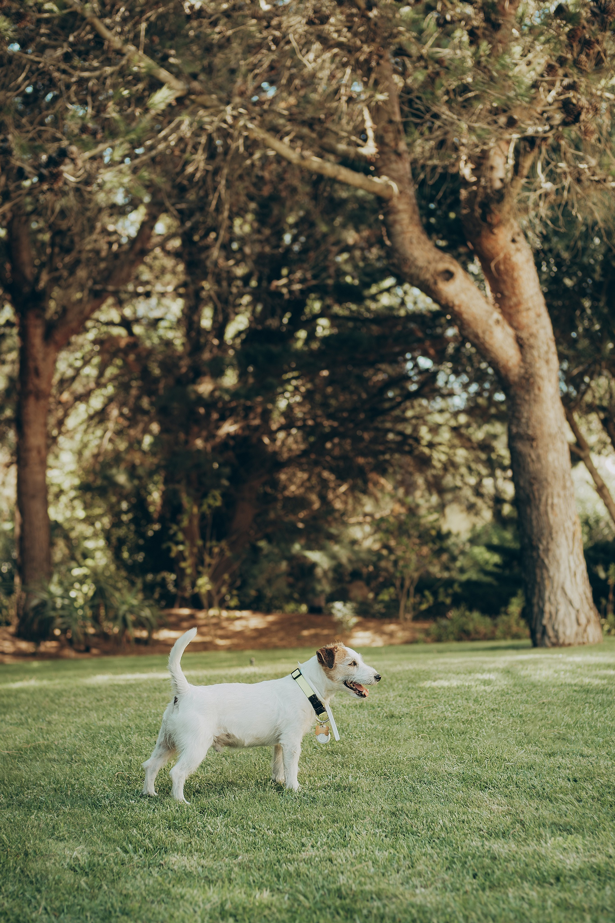 День народження. Валерія Сичова. Сімейний та репортажний фотограф в Португаліі