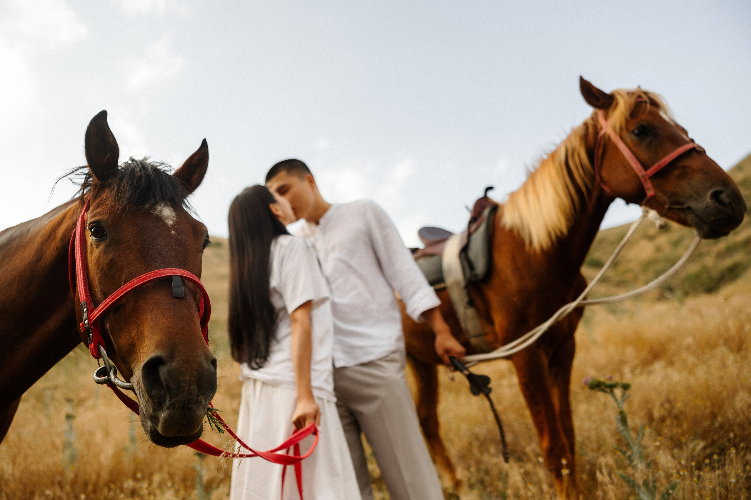 Самат и Айжан. Азимжан Нуритдинходжаев — свадебный фотограф