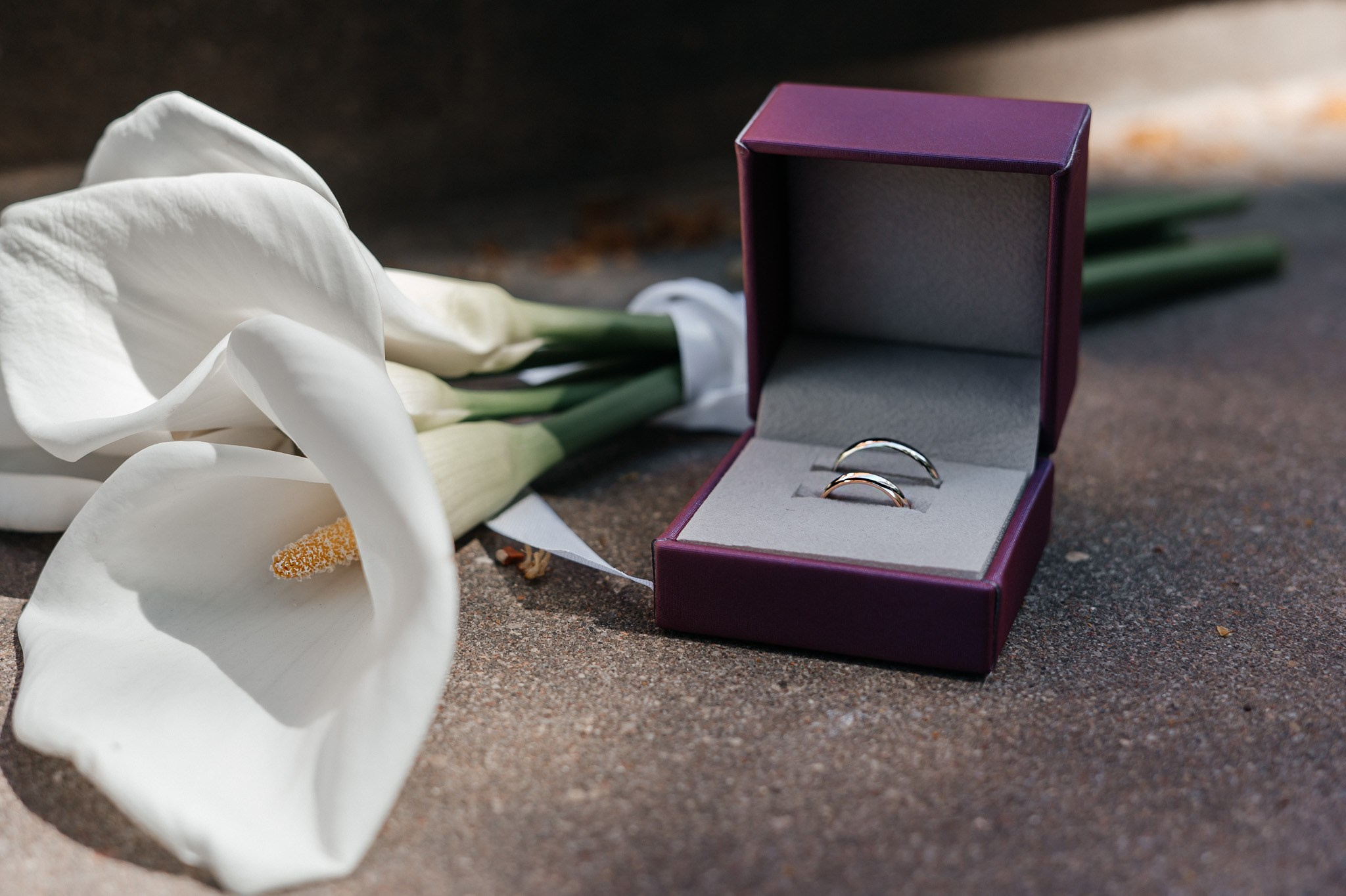 Aleksejs & Karina. Главная