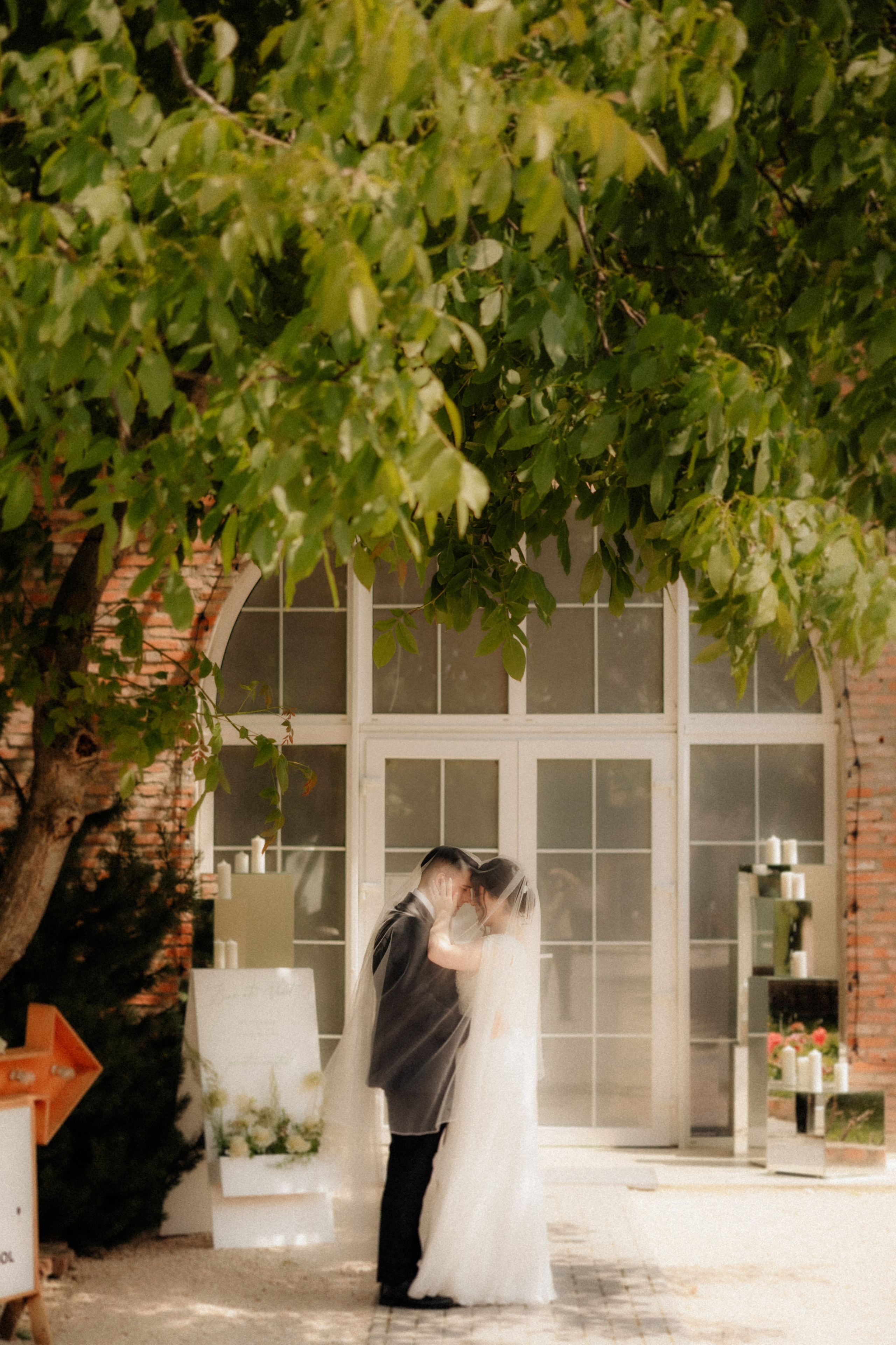 Wedding Larisa & Alin. Ionutdraganfoto.com