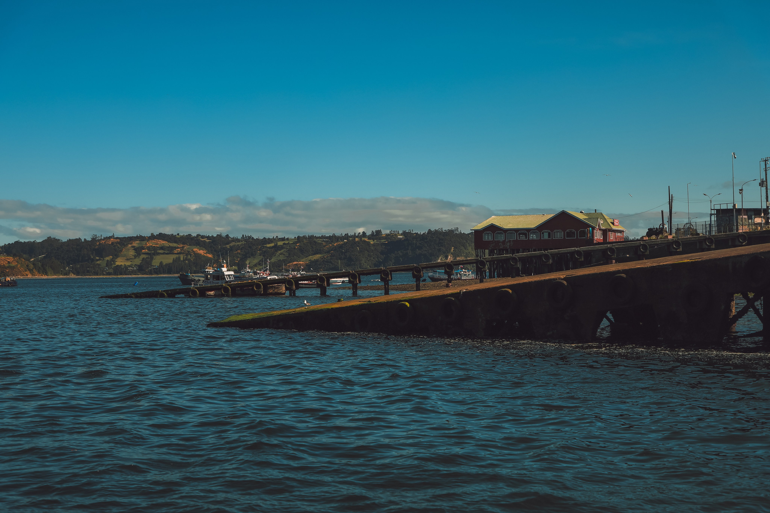 PATAGONIE. Photographe Karen Tatevosian