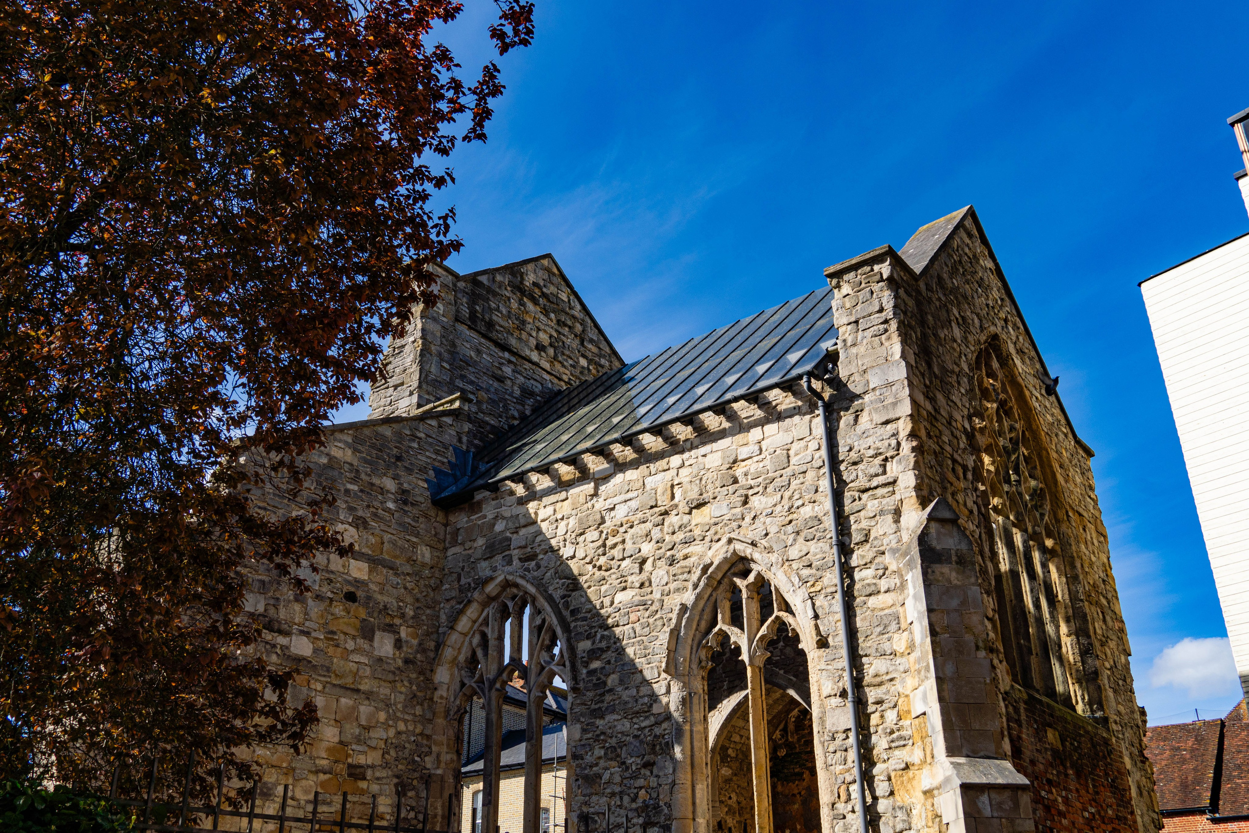 STREET PHOTOHGRAPHY. Alecsandru Braicu — Sports Photographer