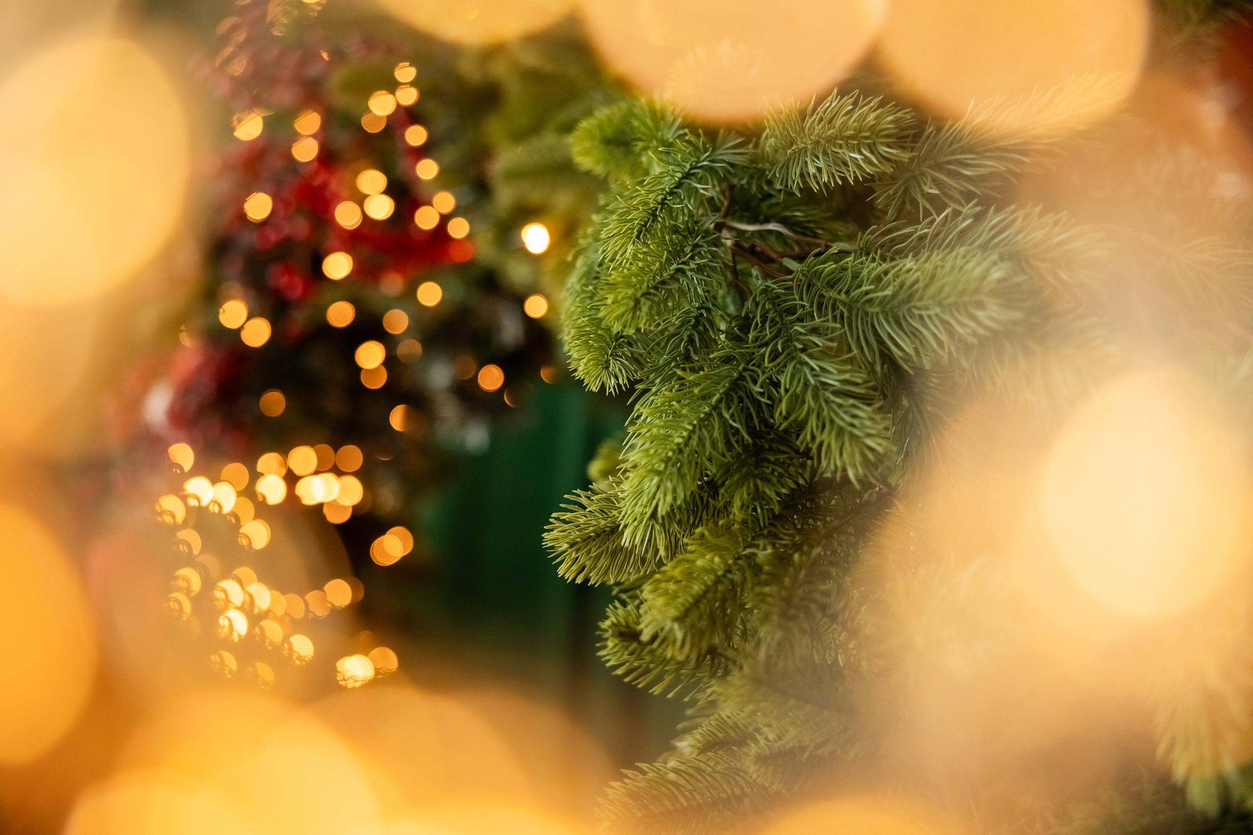 Декор 2024. Фотограф Ирина Йотова