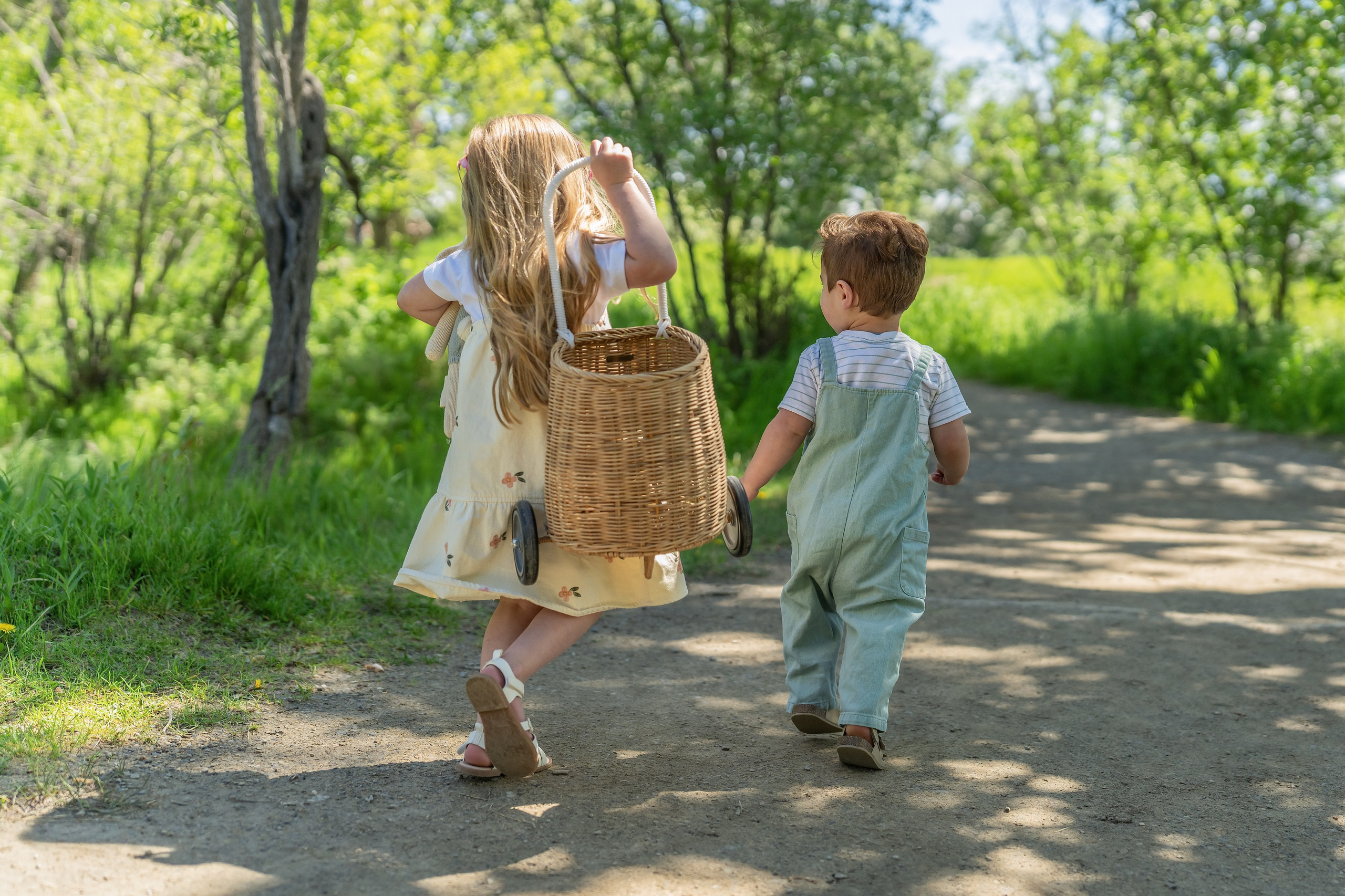 Engagement, Wedding & Family Photographer in Calgary | allo Photography