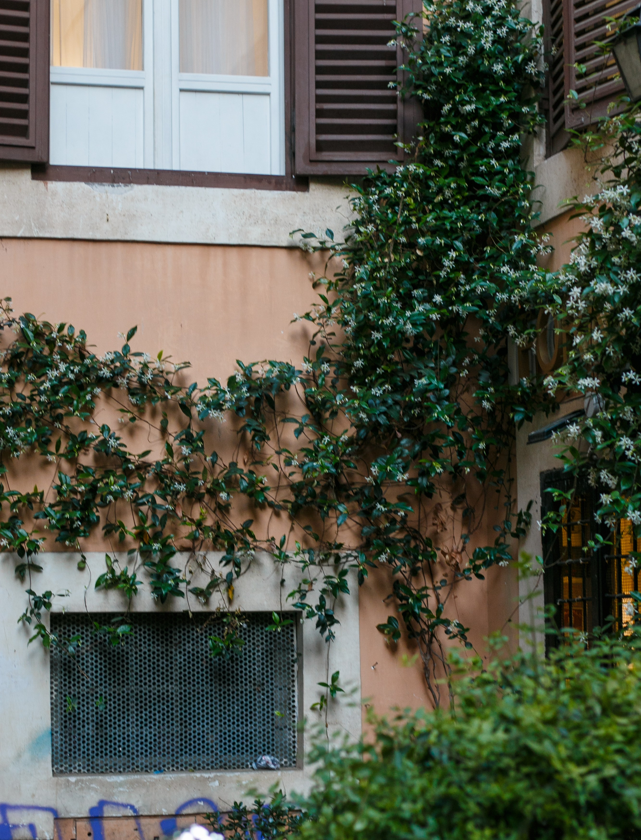 Rome, May 25. Kseny Kolesnik Photography