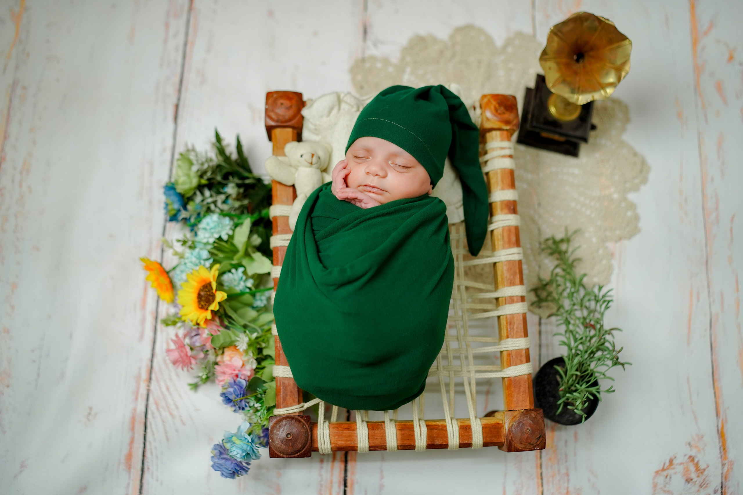 New born. TNF photo & filming