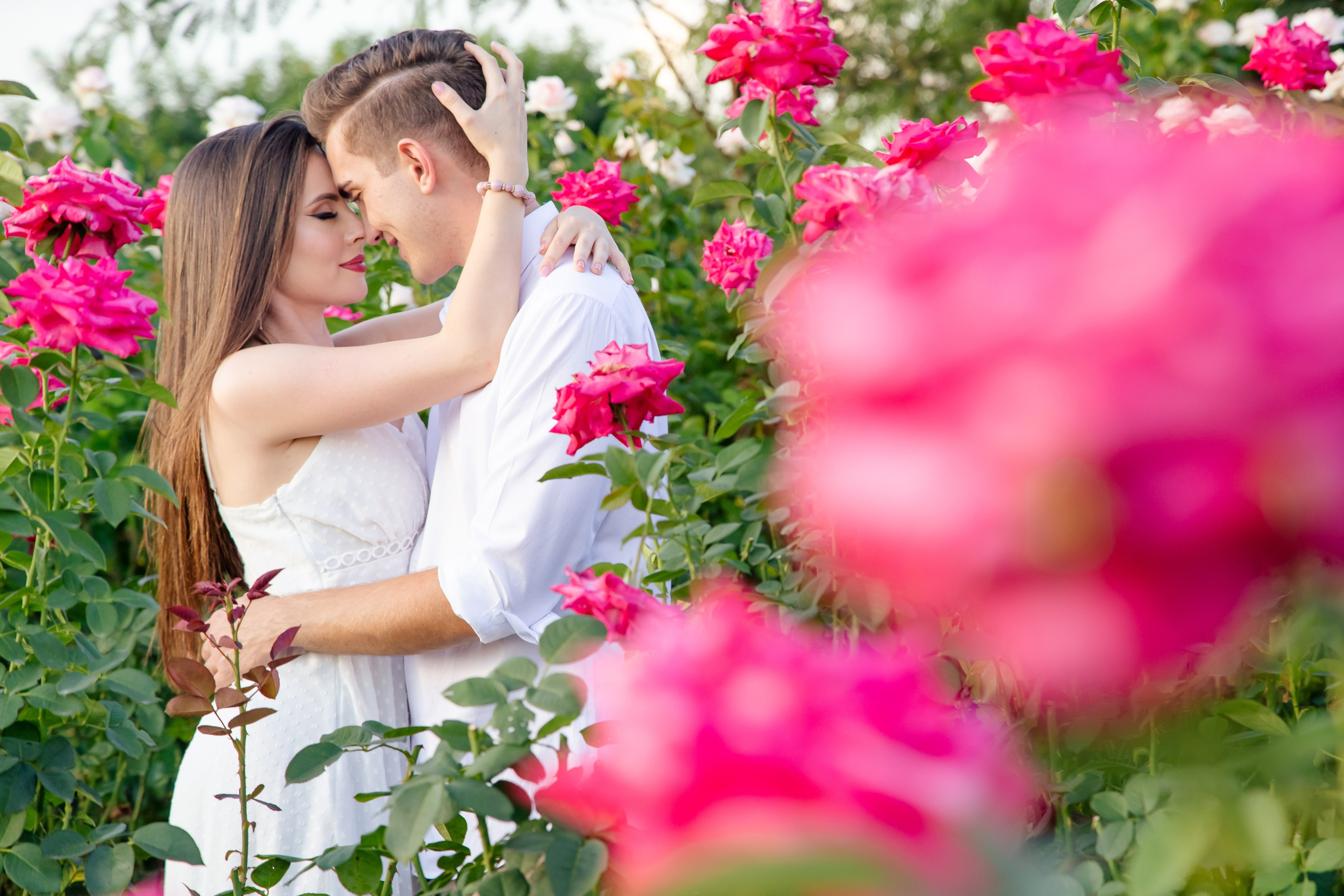 ensaio holambra pre wedding