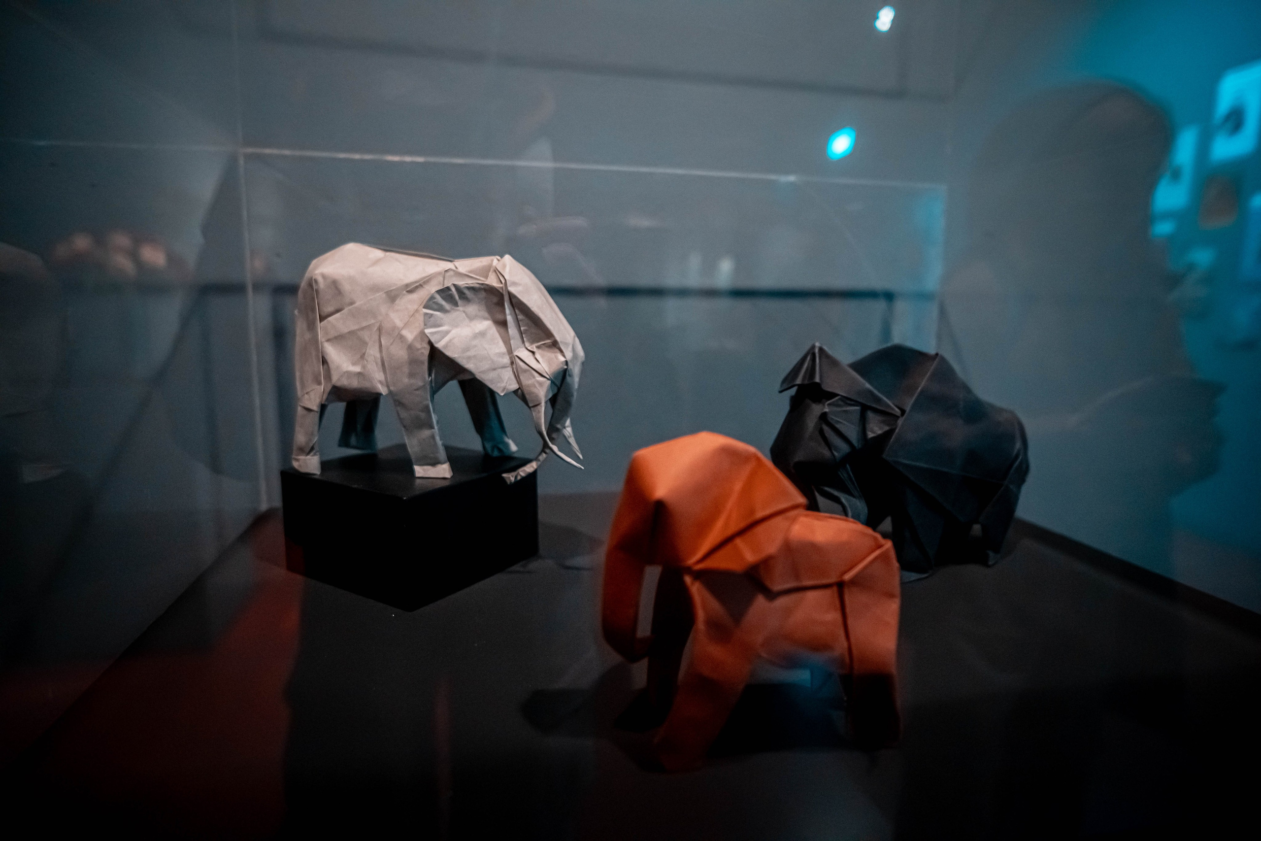 Museo de origami, Zaragoza. Alba del Norte Studio