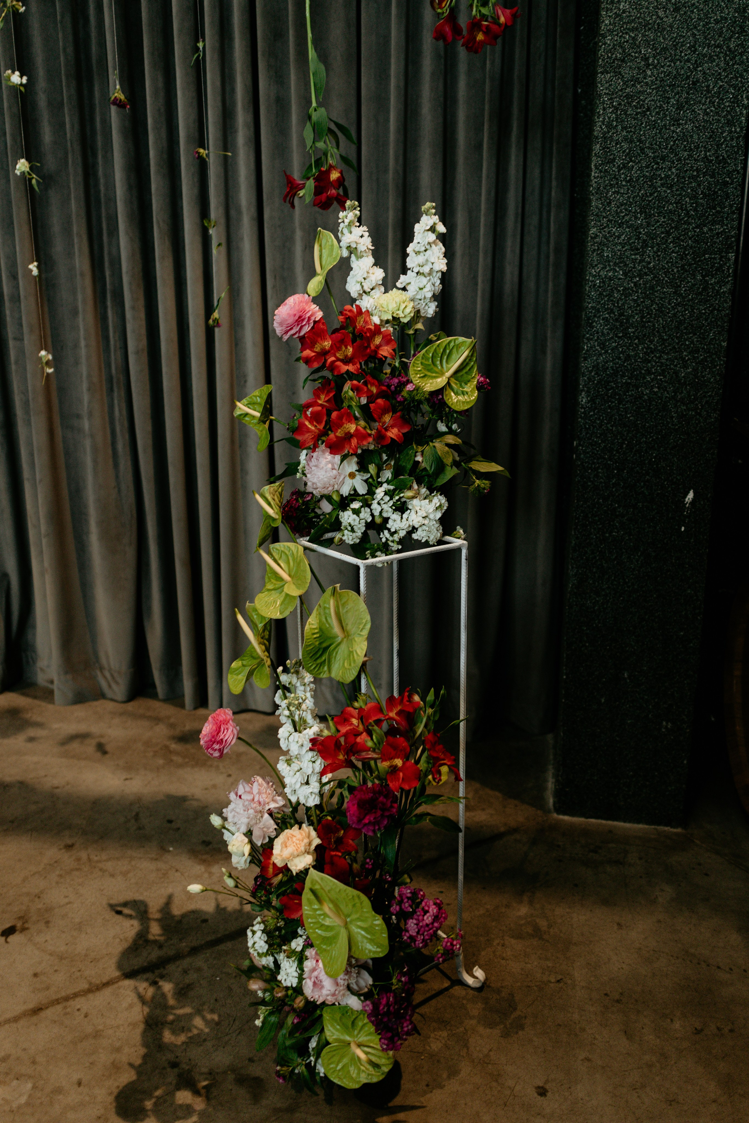 D&V Wedding. Family and children photographer in Belgrade Milja Ciric