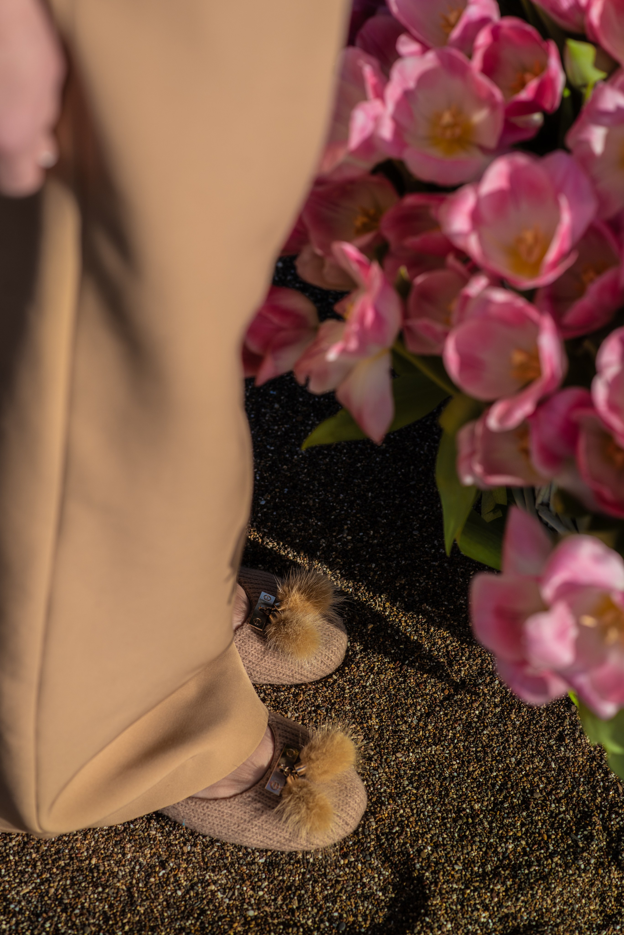 Тюлапаны & Елена. Aile fotoğrafçısı Olga Aksyonova, Donetsk ve Antalya’da