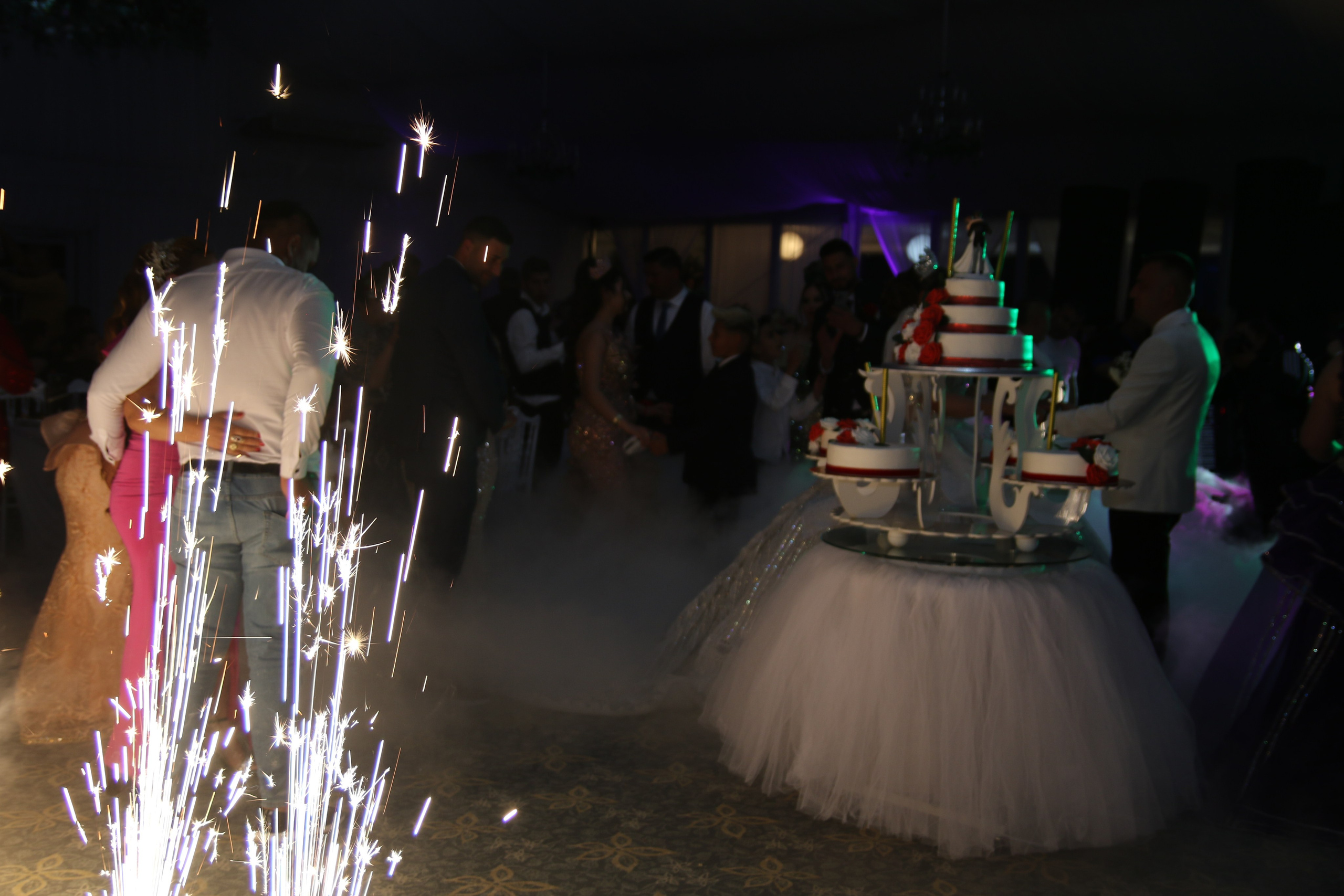 BORIS & ALINA. PETRU BYZO - family and children photographer in ROMANIA