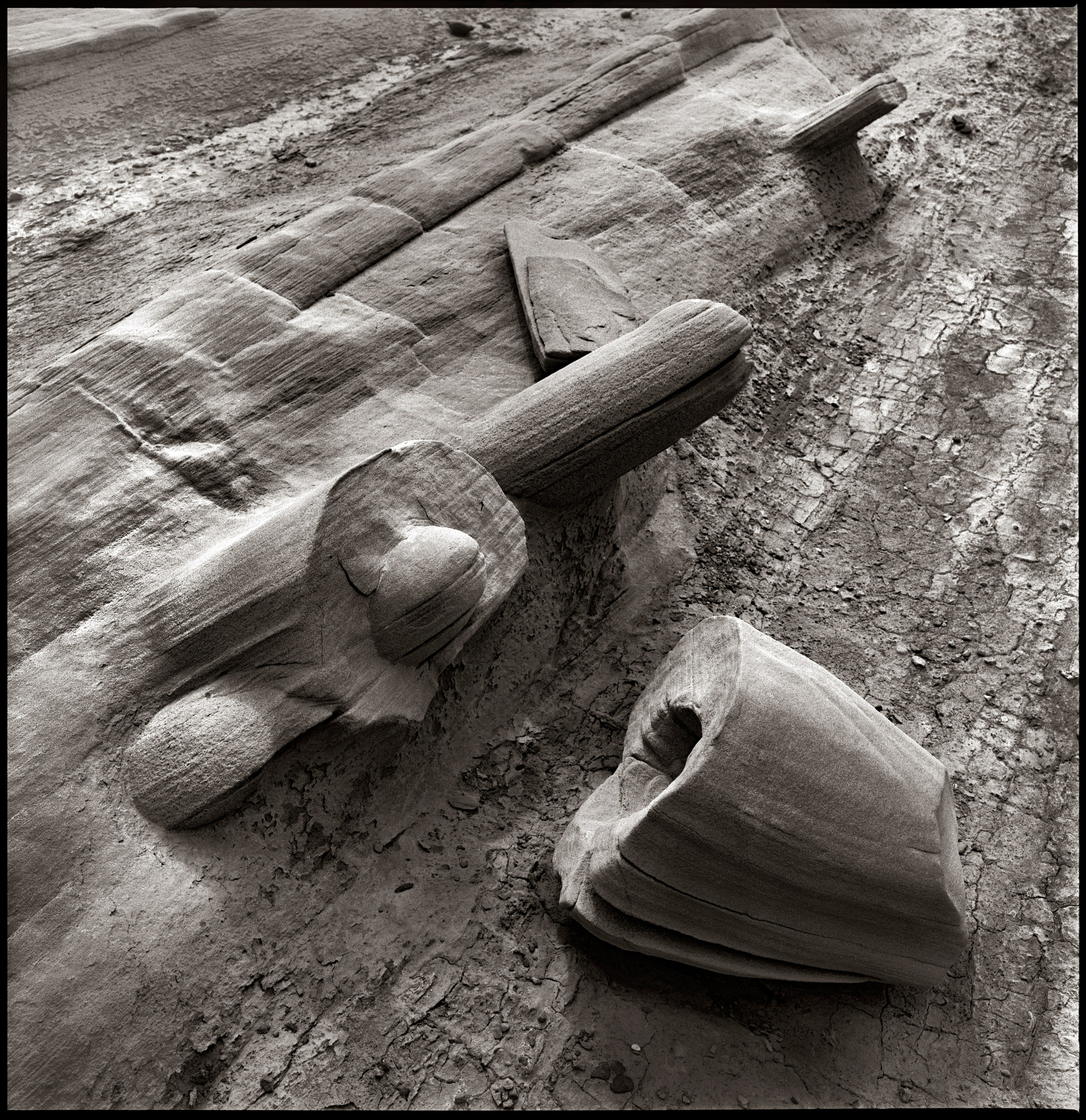 NATURE. Www.sananaleskerov.com