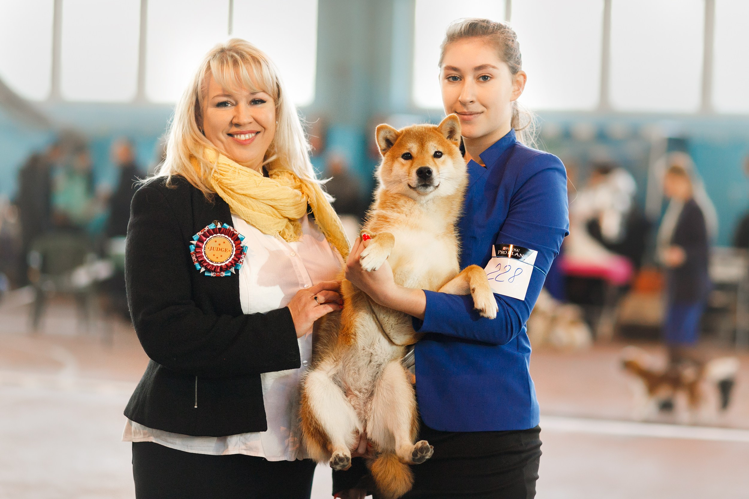 Dog shows | the best ones. Kaja | fotograf psów we Wrocławiu