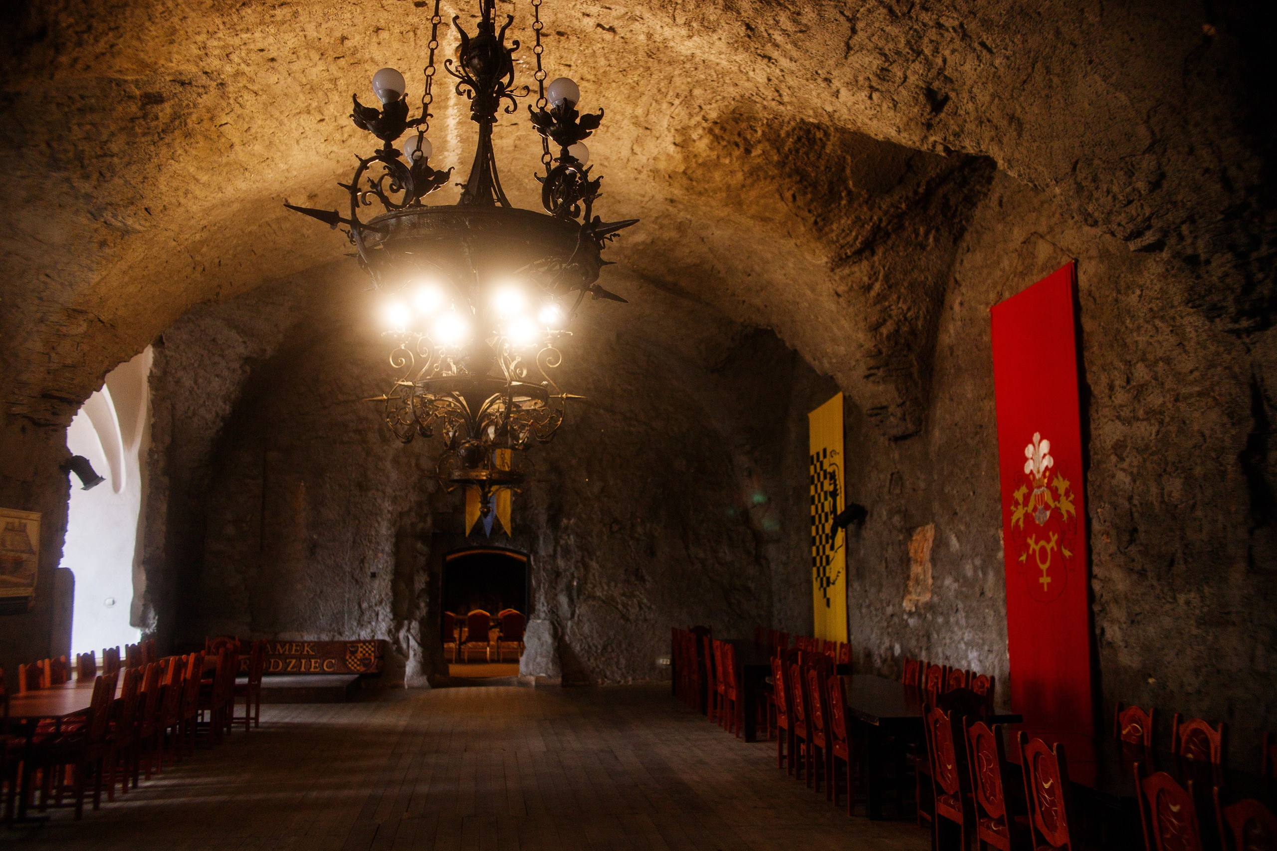 Zamek Grodziec. Kaja | fotograf psów we Wrocławiu