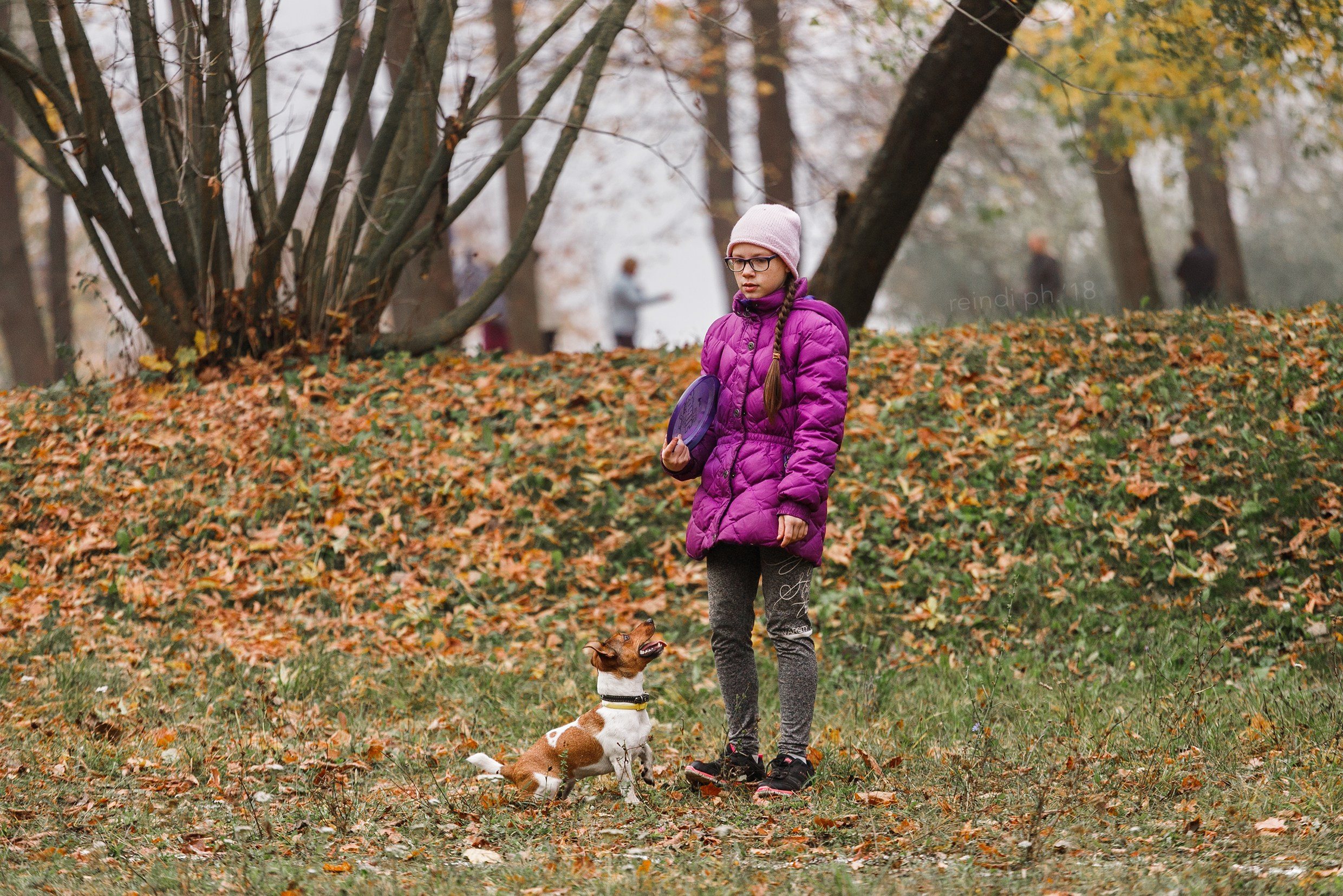 Frisbee and dog puller championship | autumn. Kaja | fotograf we Wrocławiu | ludzie i psy
