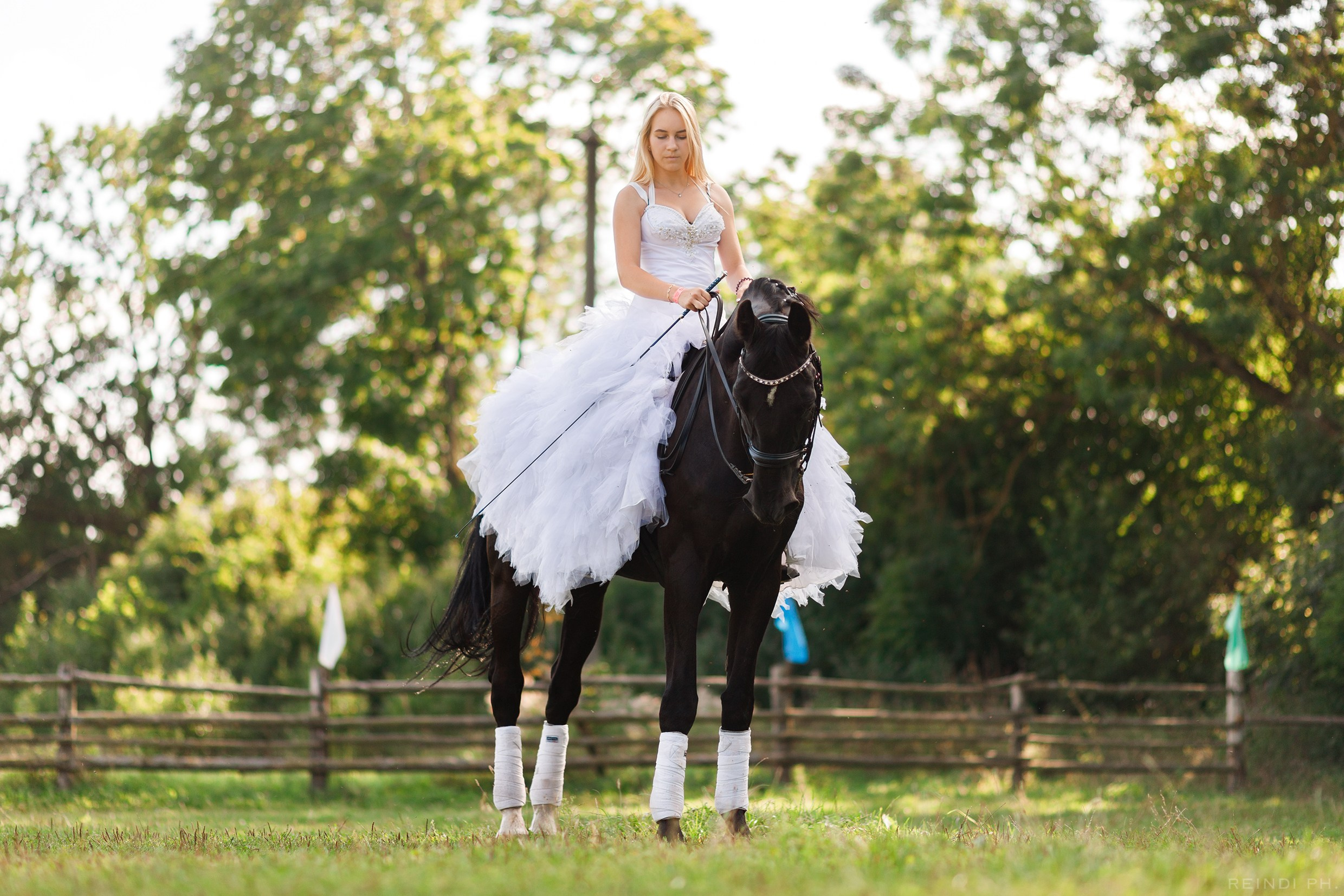 Horse show in the village. Kaja | fotograf we Wrocławiu | ludzie i psy
