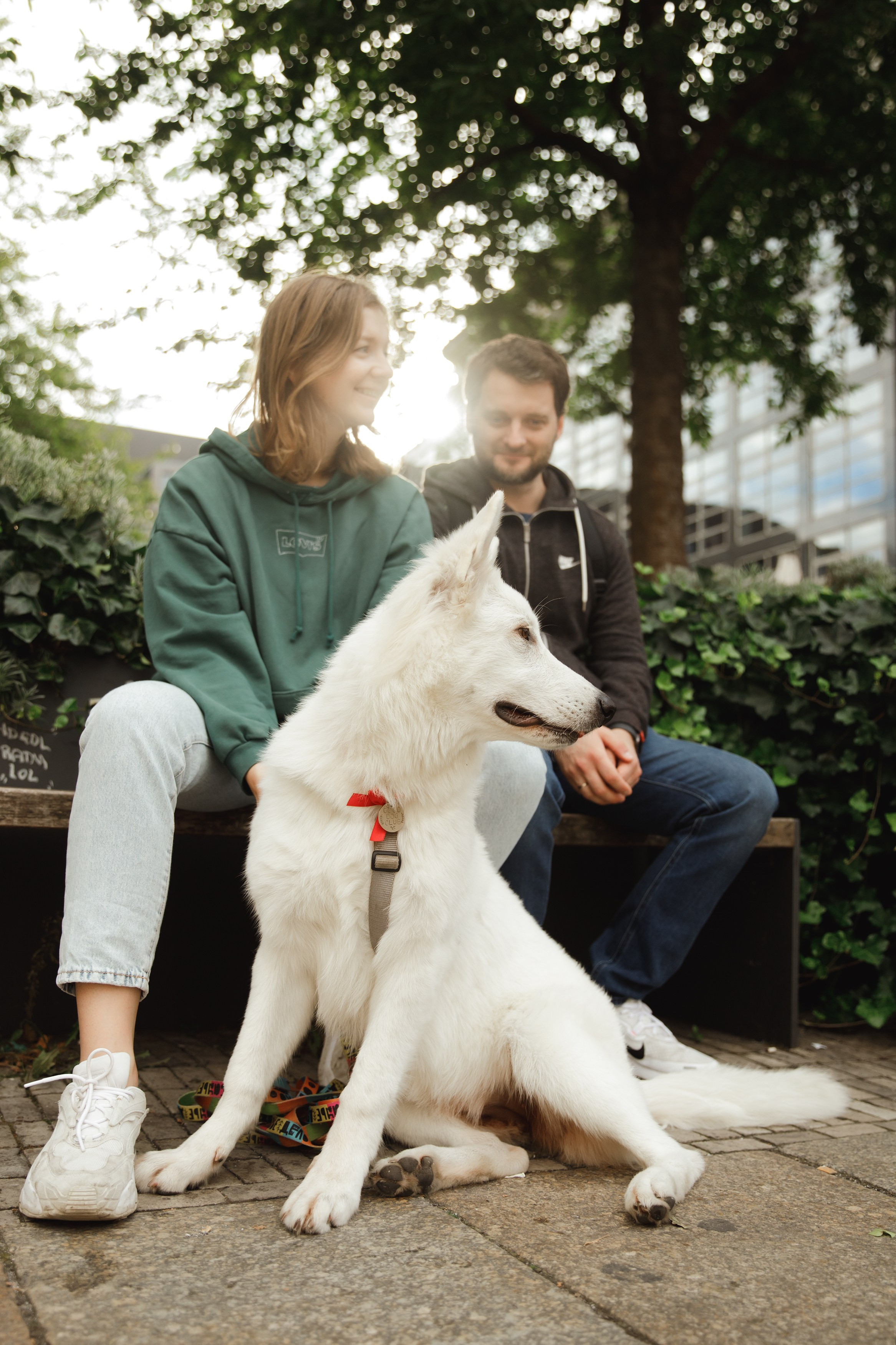 Astra in Leipzig. Kaja | fotograf we Wrocławiu | ludzie i psy