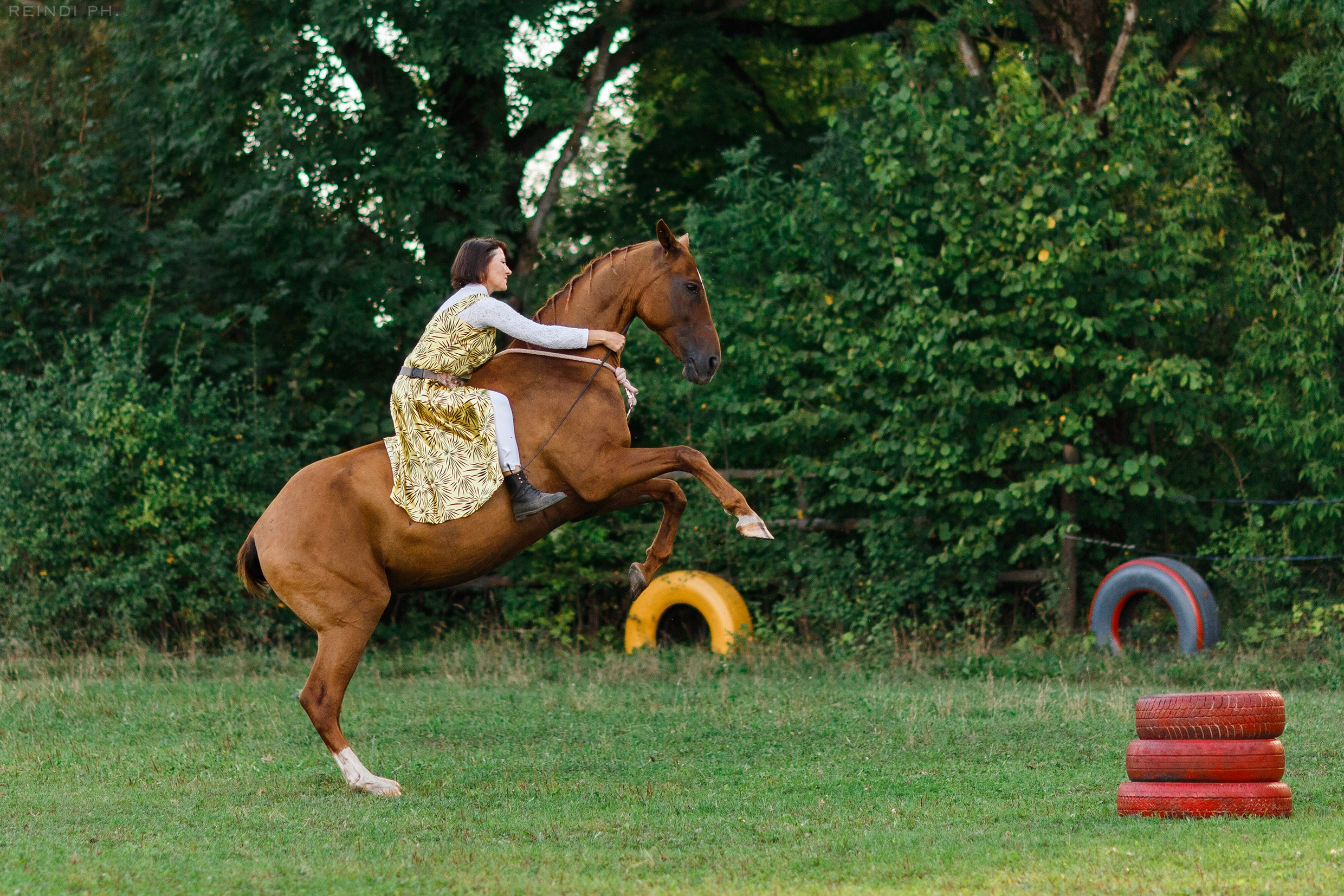 Horse show in the village. Kaja | fotograf we Wrocławiu | ludzie i psy