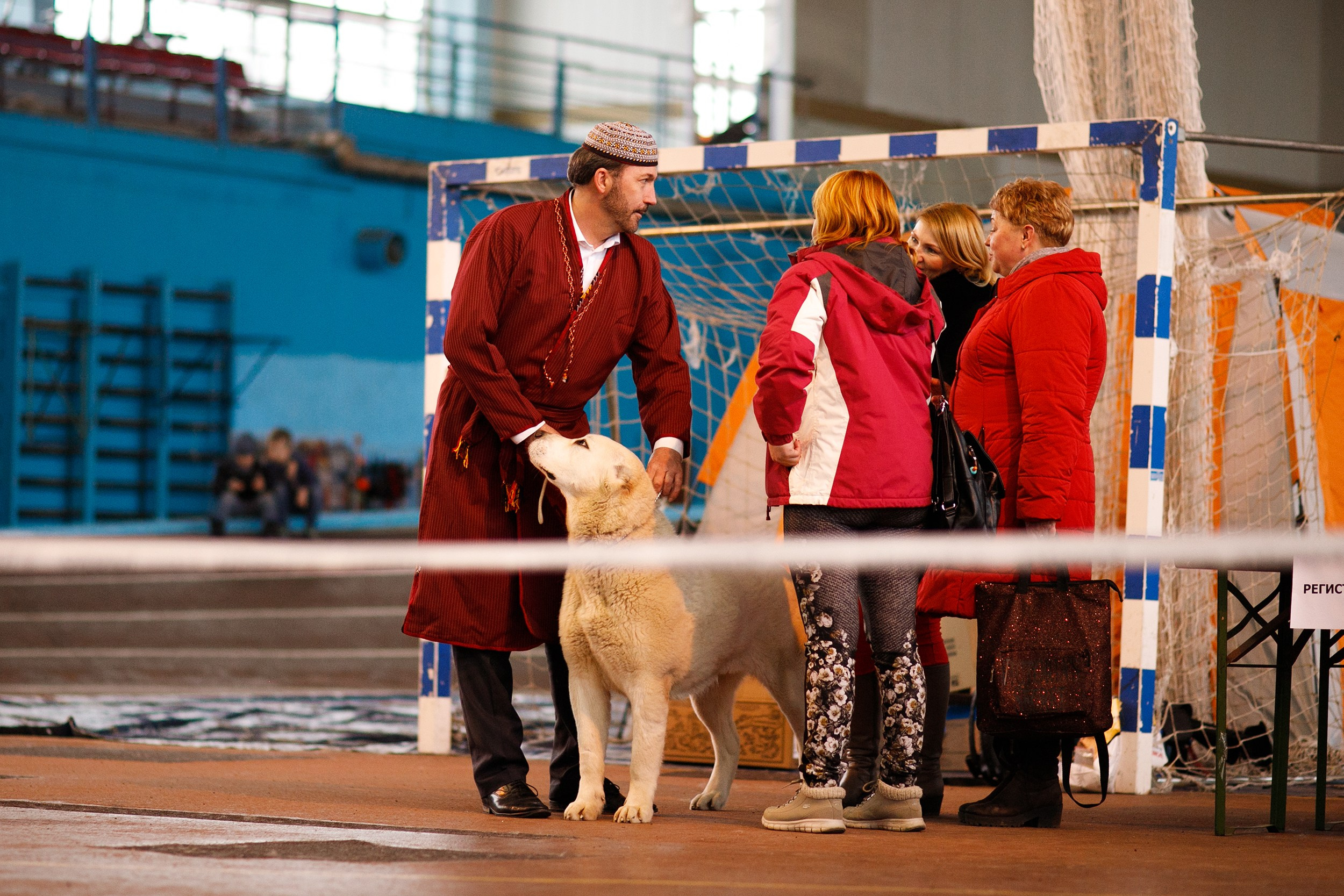 Dog shows | the best ones. Kaja | fotograf psów we Wrocławiu