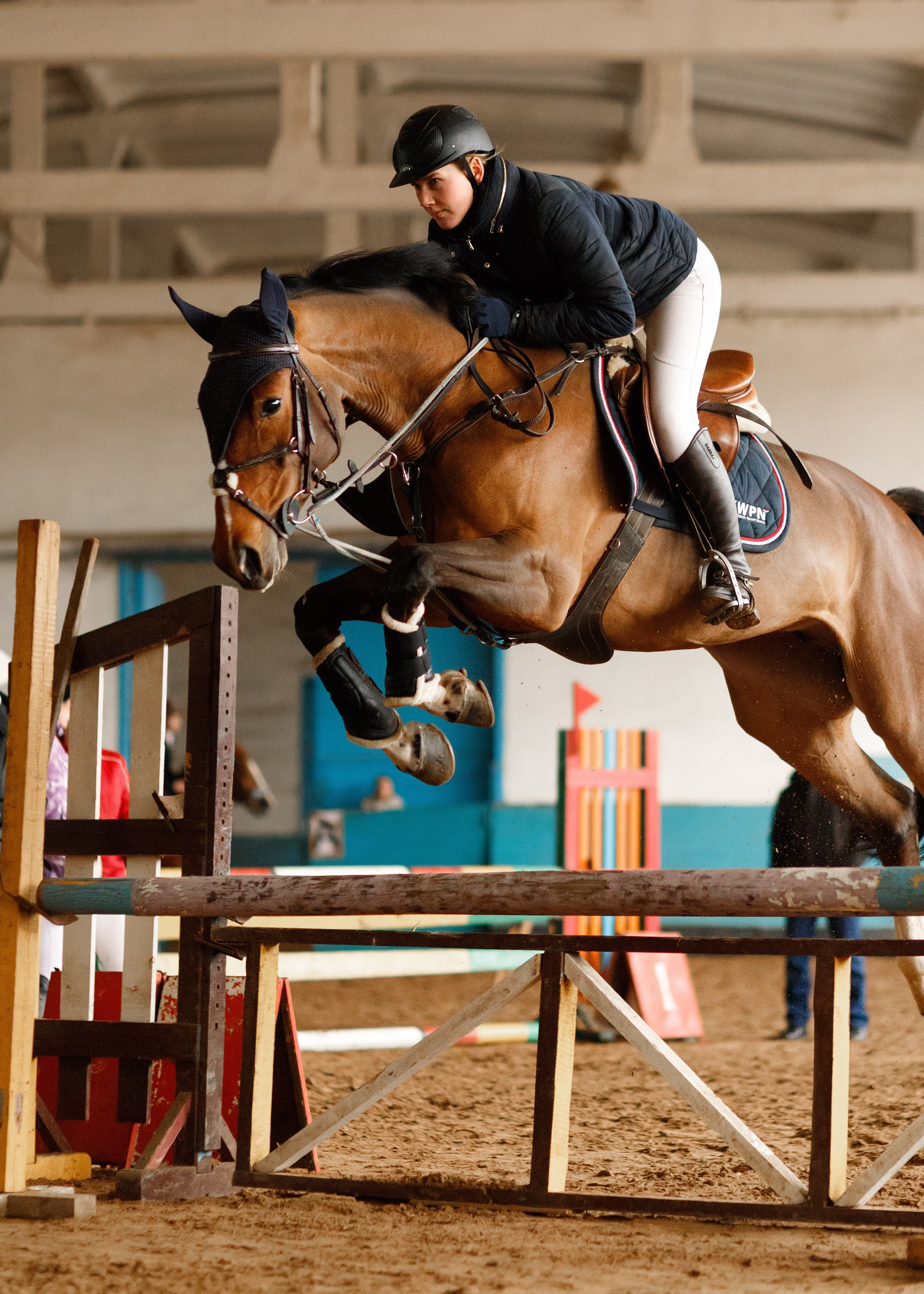 Winter show jumping in «Progress». Kaja | fotograf we Wrocławiu | ludzie i psy