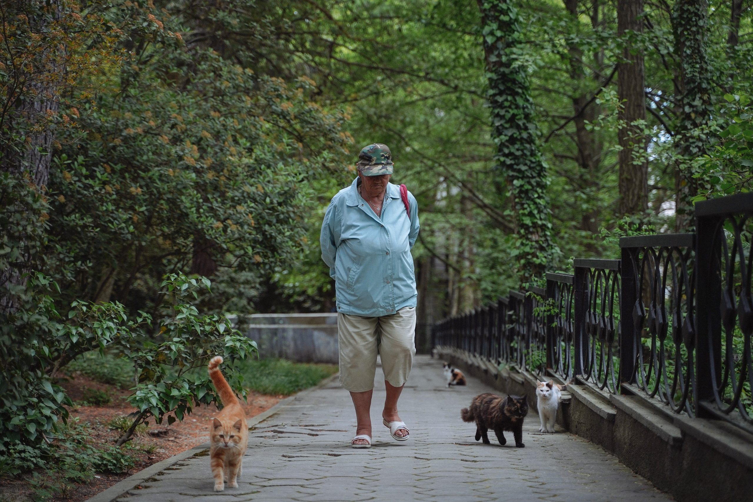 Кот шпедингера. Стрит-фотография, полная абсурда, идиотизма и красоты