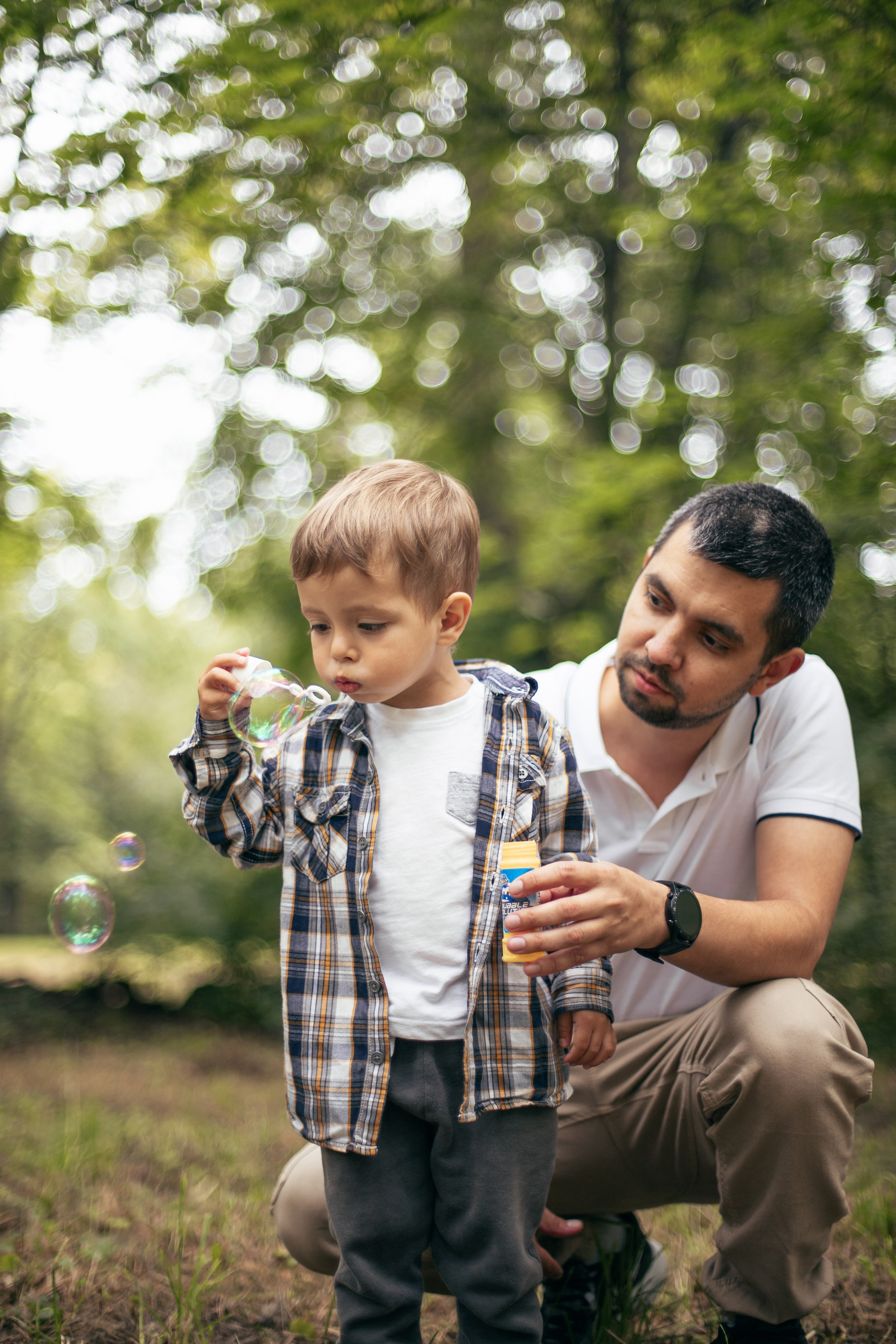 Прогулка в парке. Главная