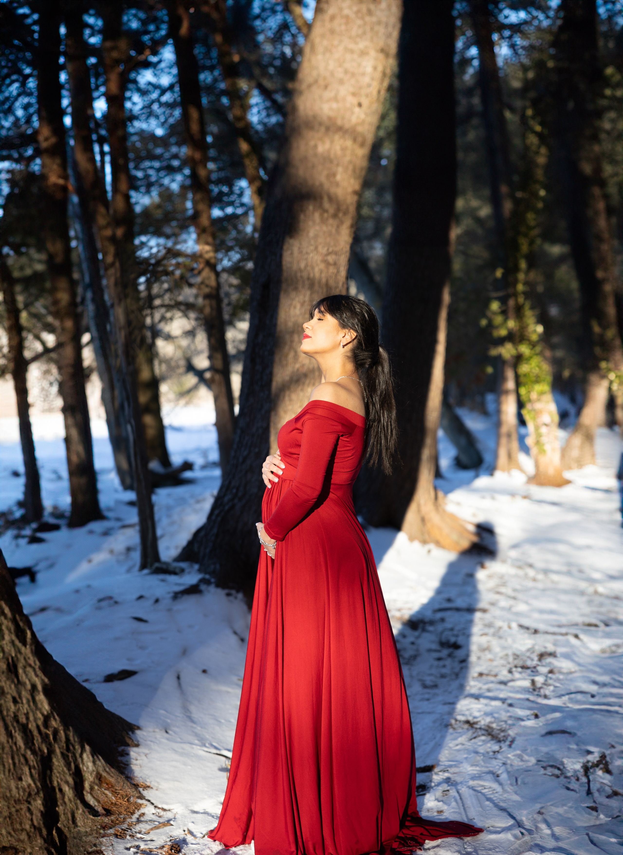 Ensaio Gestante. Principal