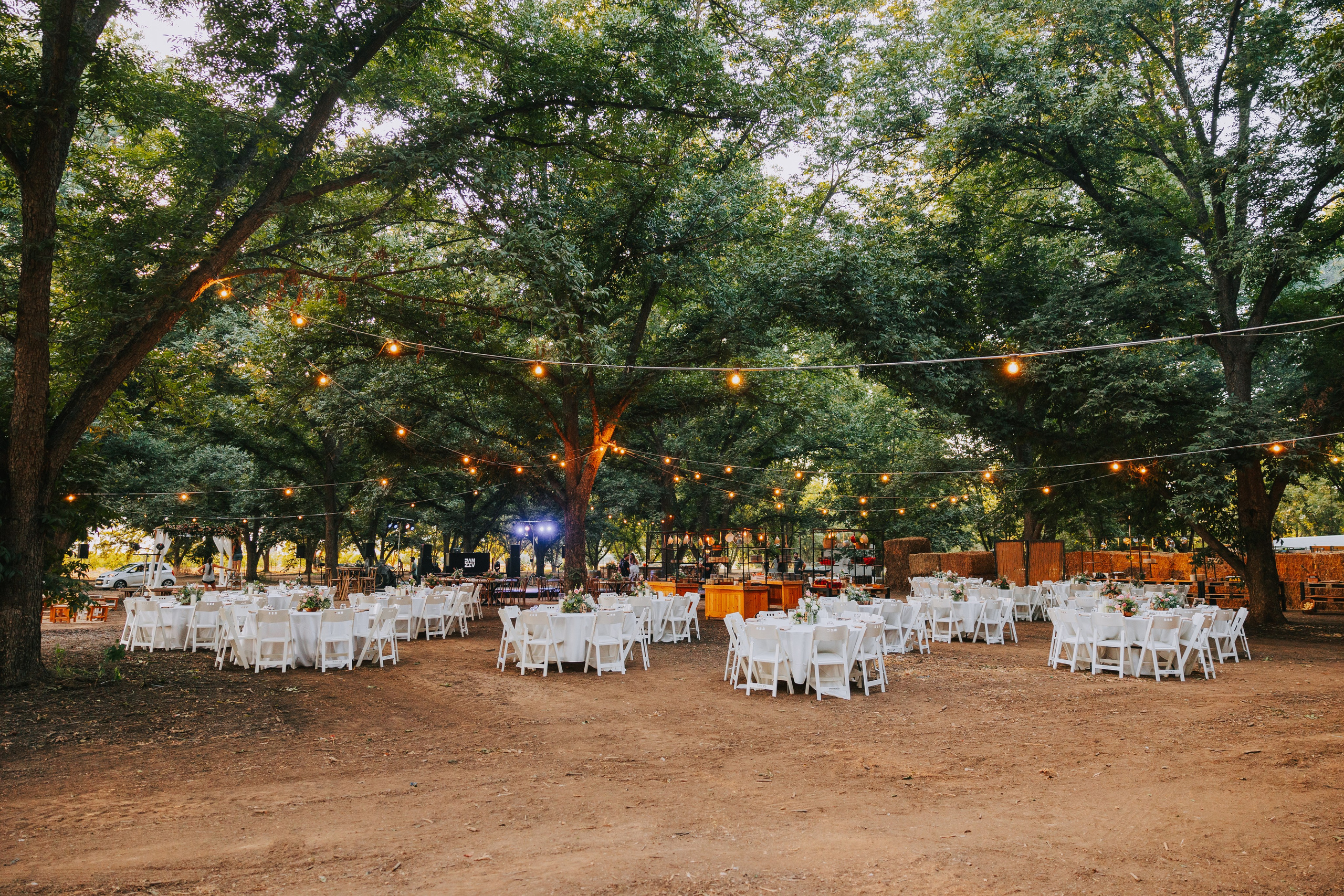 Shay & Maxim. AMIR BUCHNIK PHOTOGRAPHER