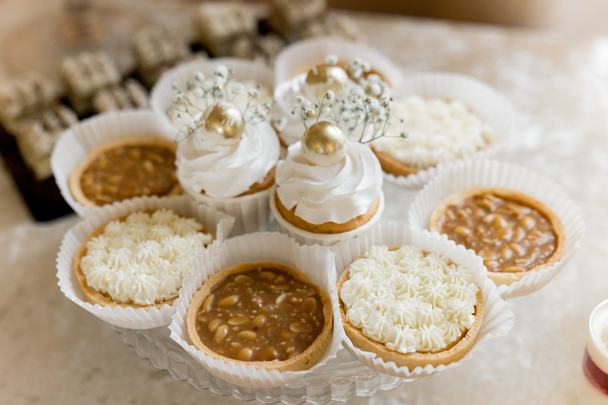 Anna Dmytro. Ірина Терещук