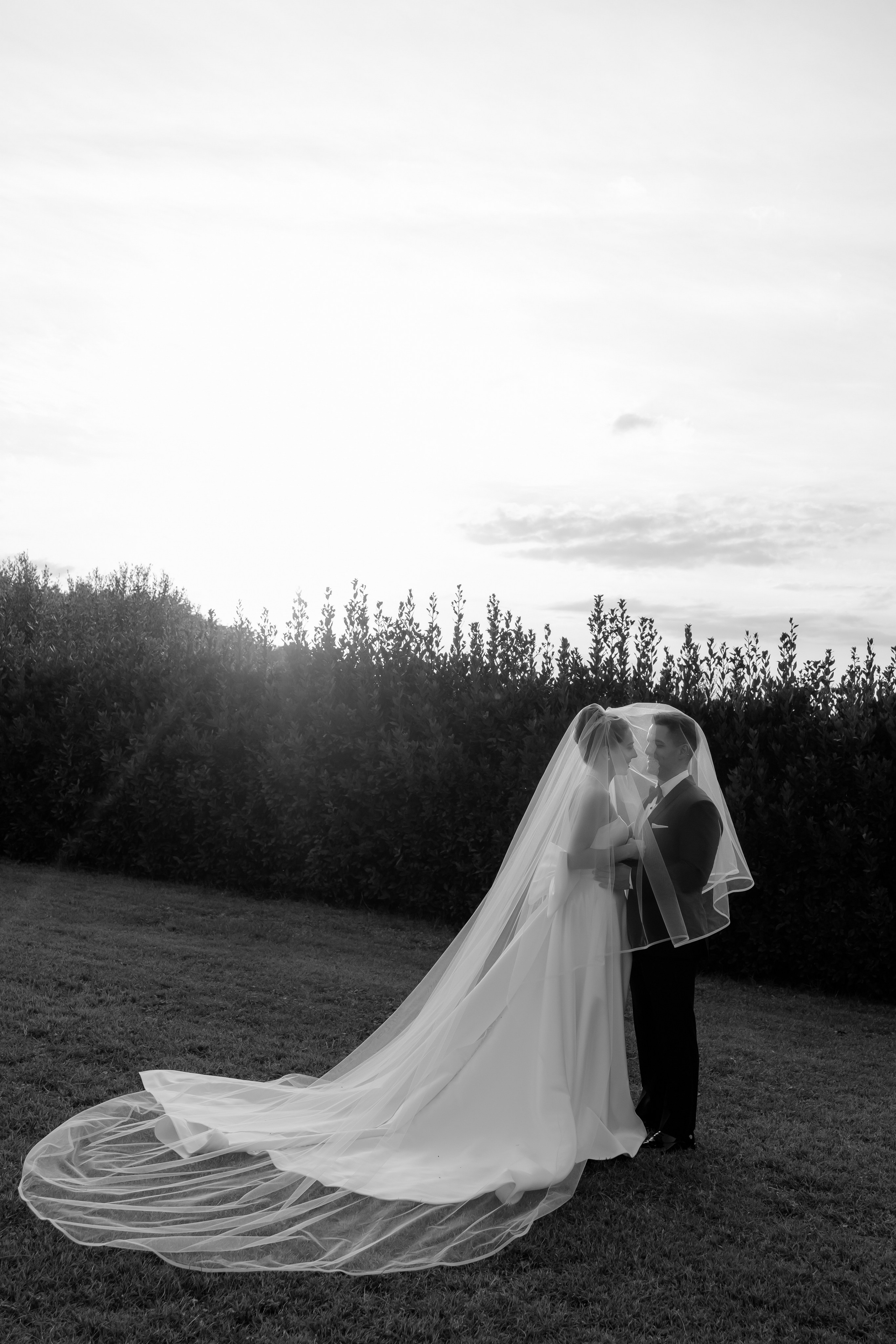 Dom&Ally. Весільний фотограф Вікторія Саврук