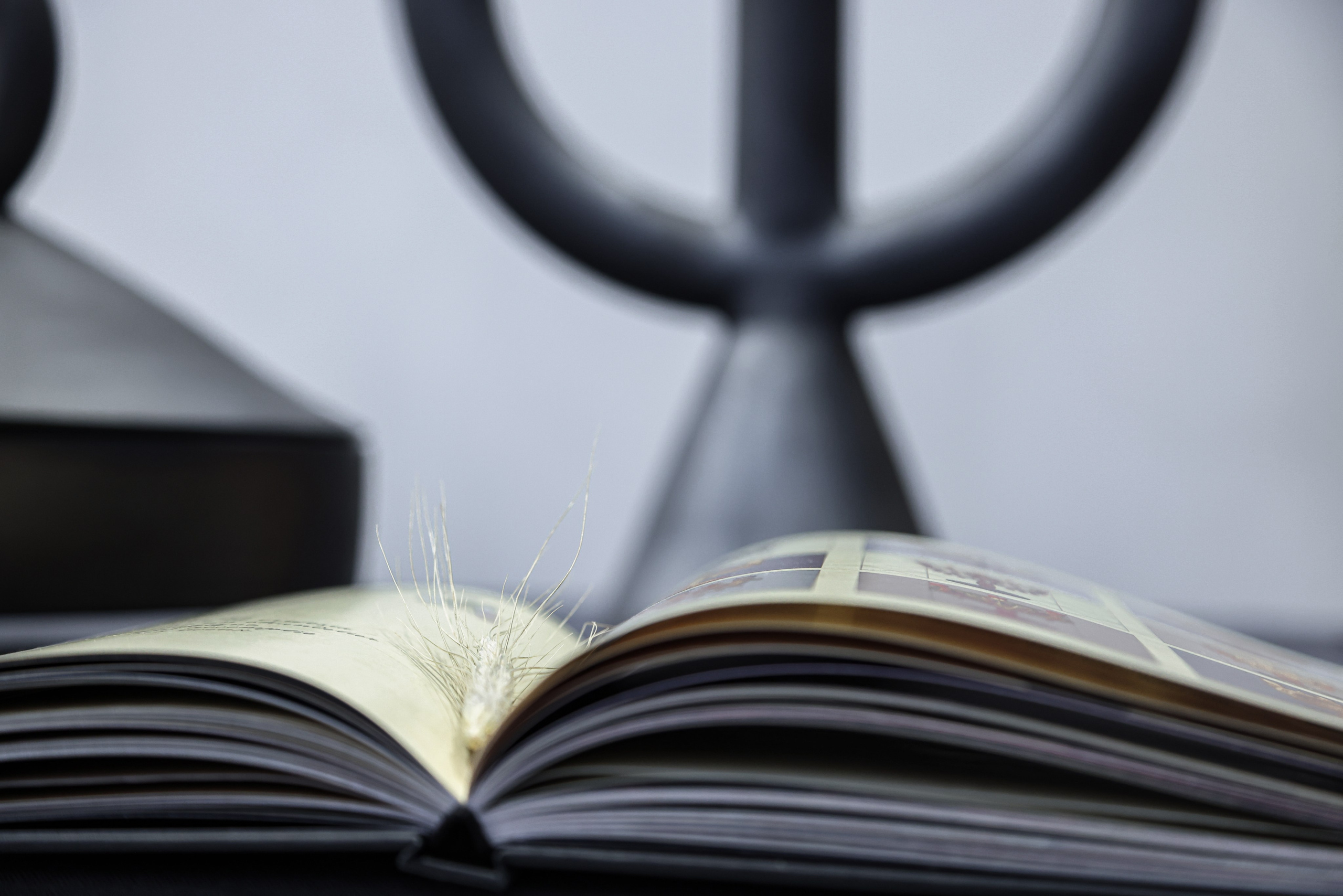 Salon Ukrainian Paris. Natalia Bogdanovska. Films et photographie corporate en France