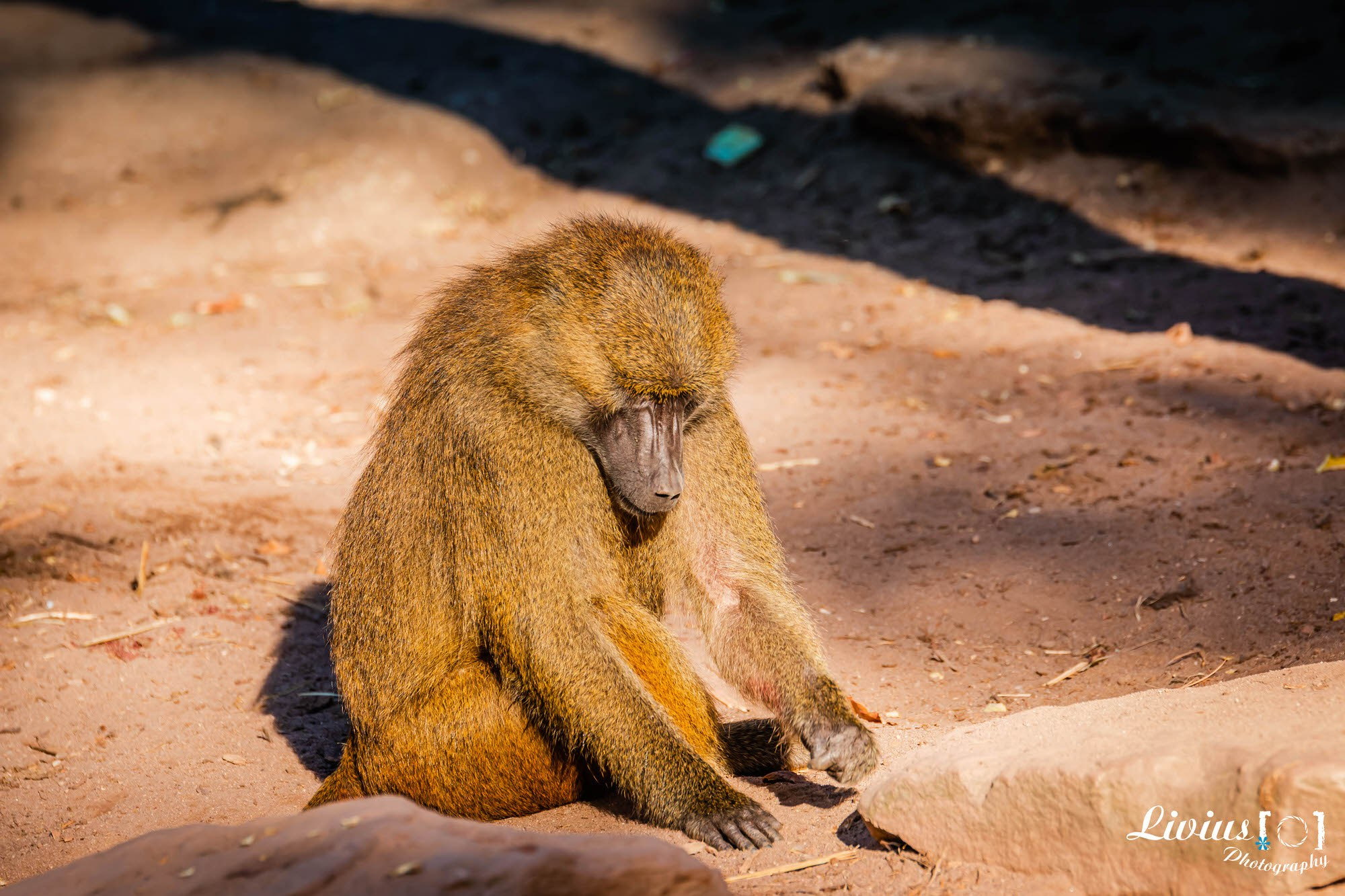 Tierpark Nürnberg. FOTO KREATIV