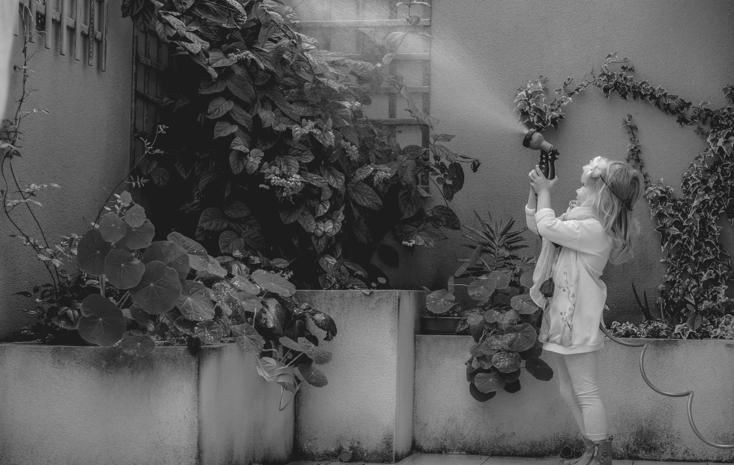 Magic moments. Alba del Norte Studio