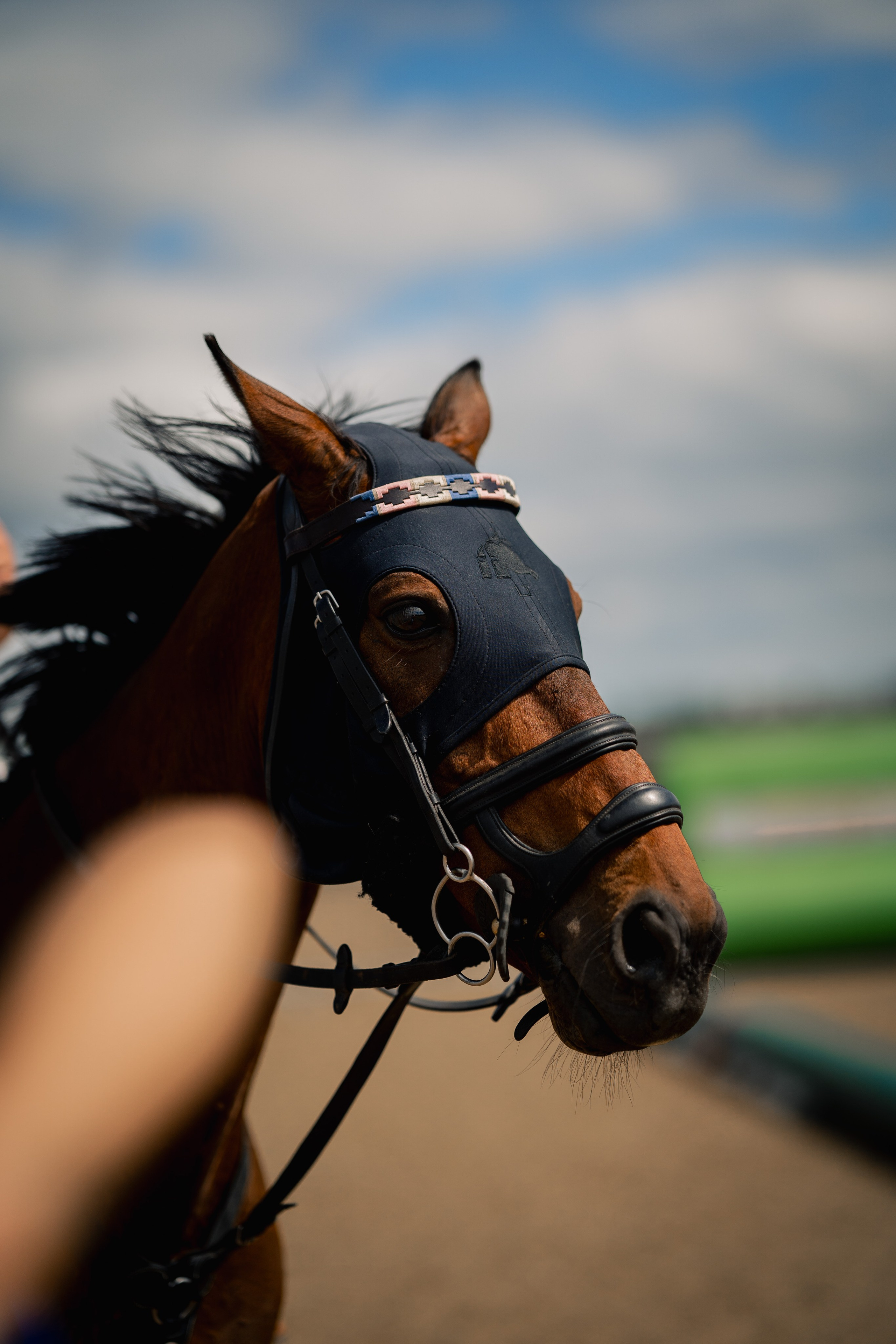 Horseball. Ryan Hewitt Photographer