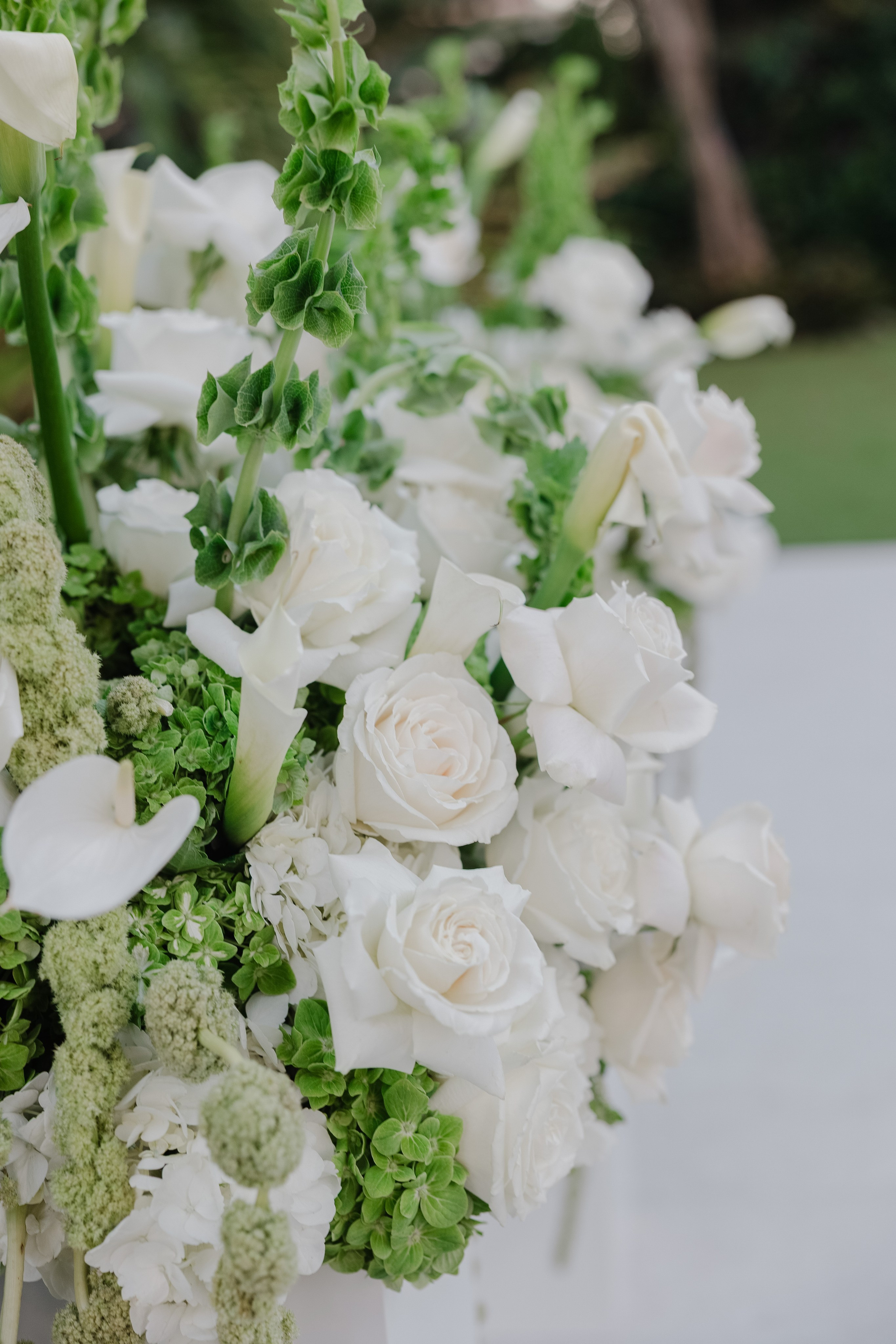 Yana & Denis. My name is Kate and I am family and wedding photographer