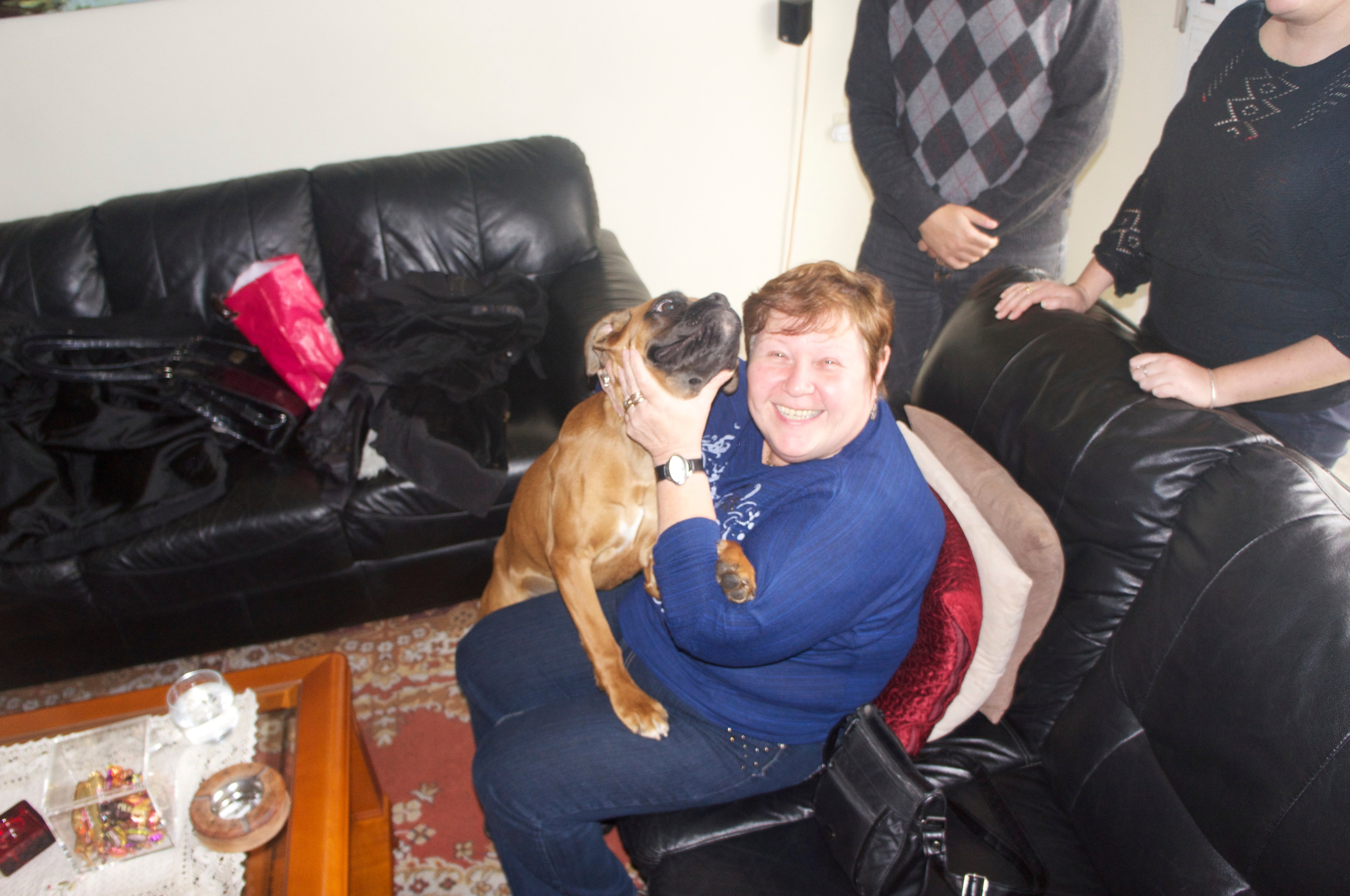 My ״Star״ Boxer Dog