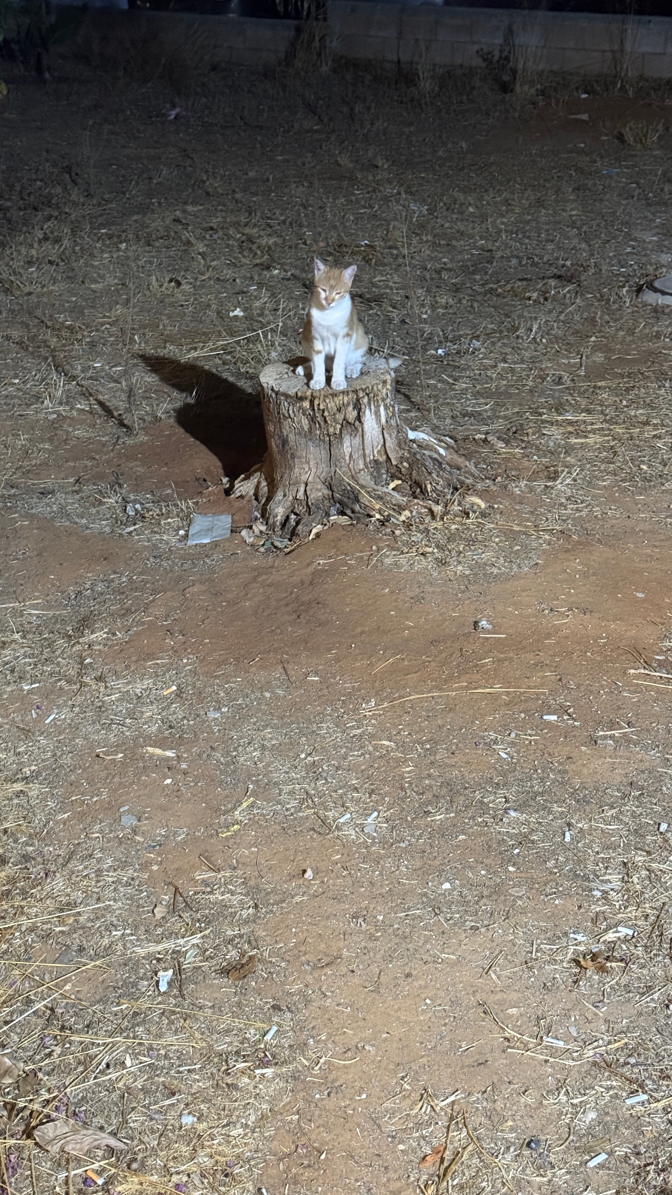 Everything from everything