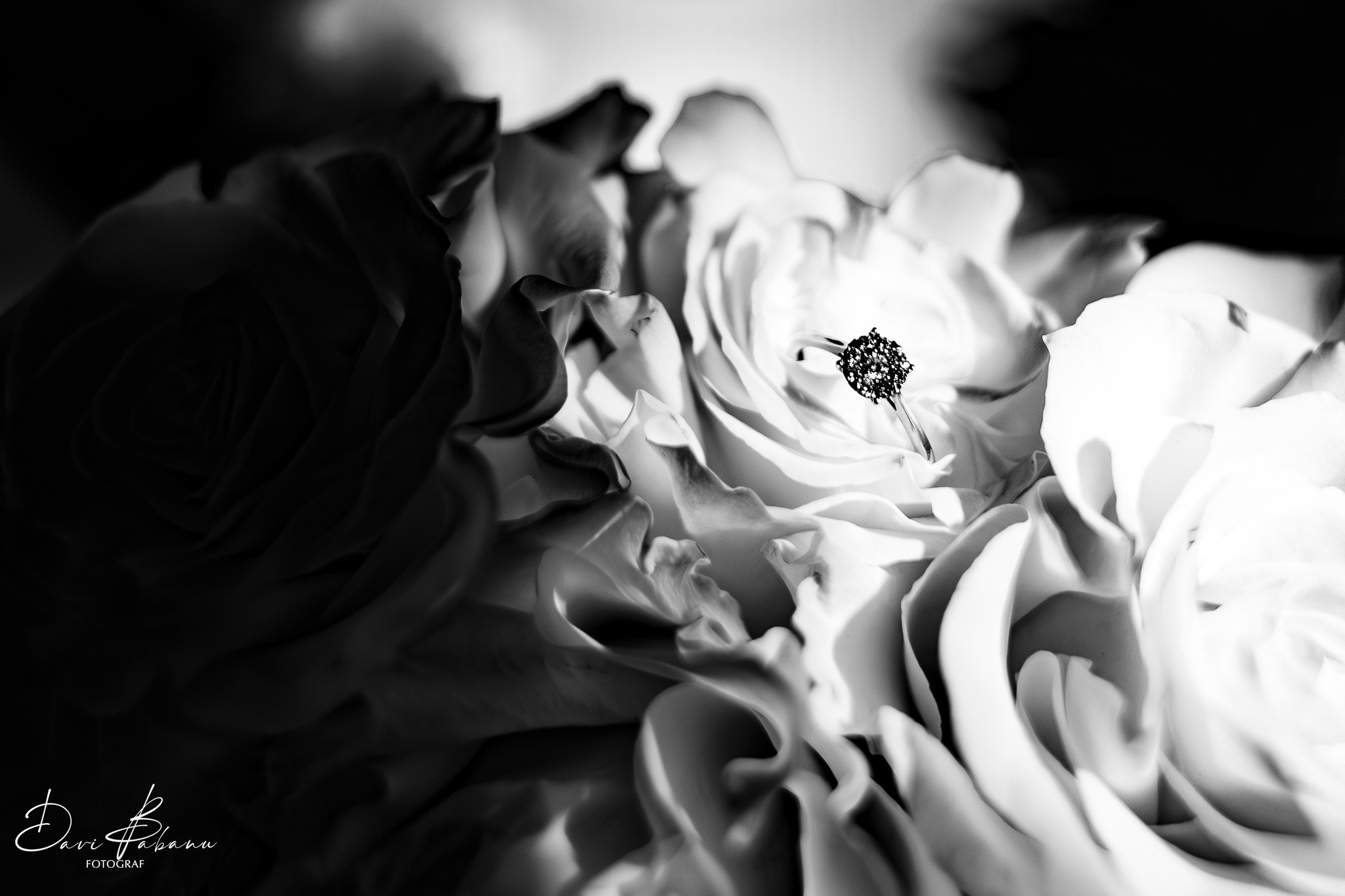 Raluca & Alexandru - Cununie civilã