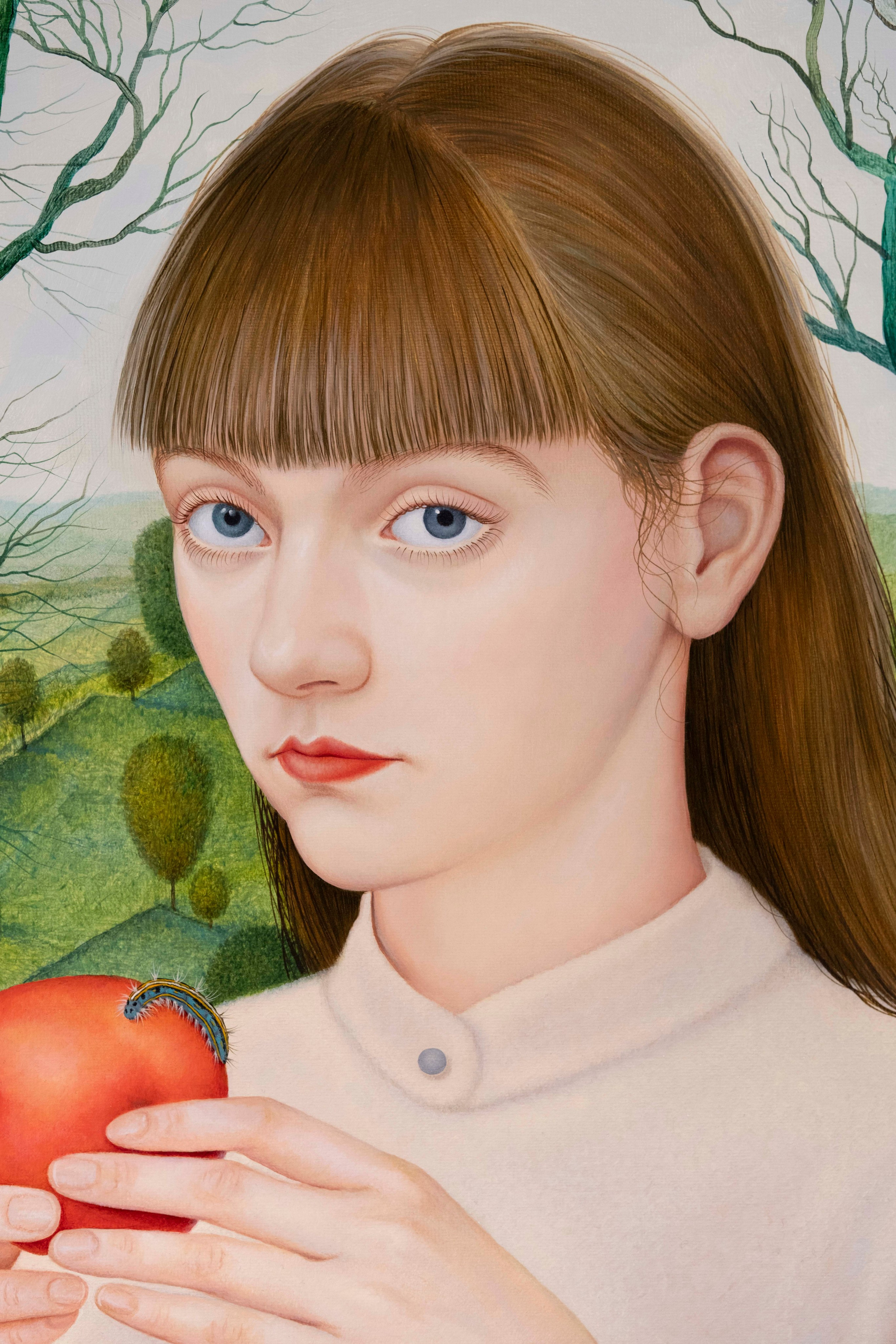 Malacosoma Neustria. ELEN BEZHEN