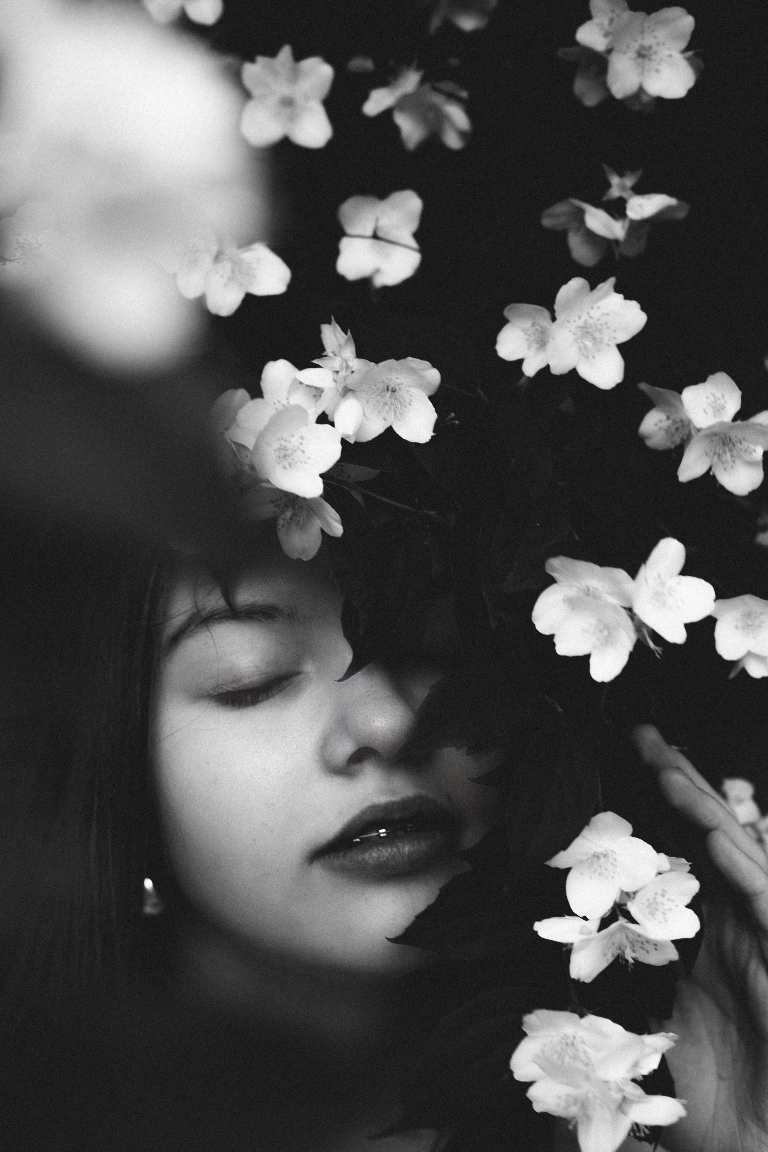 Foto in Jasmin. PHOTOgrapher Germany MARBURG