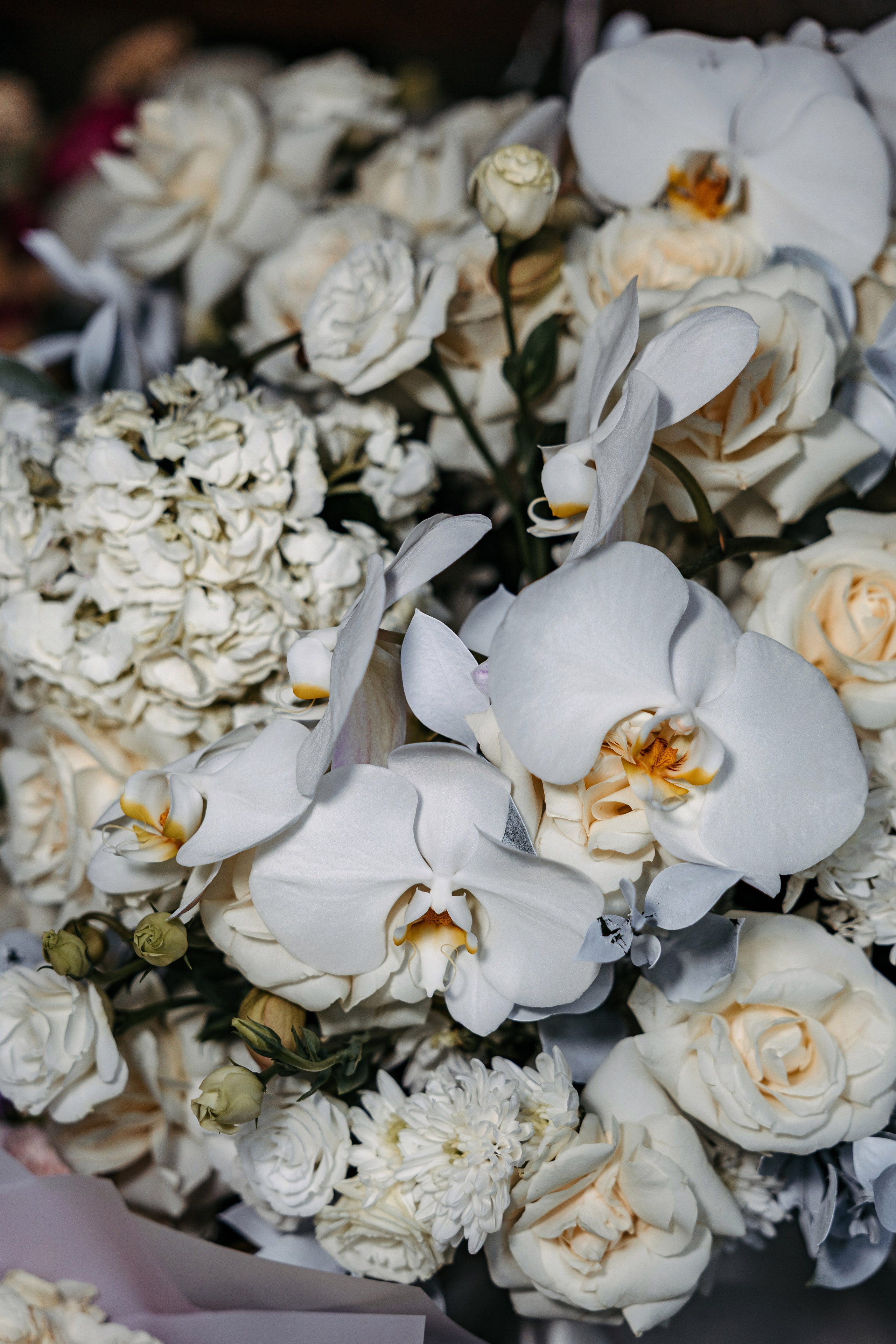 Ekaterina & Evgenii. Профессиональный фотограф Нурмиева Вероника