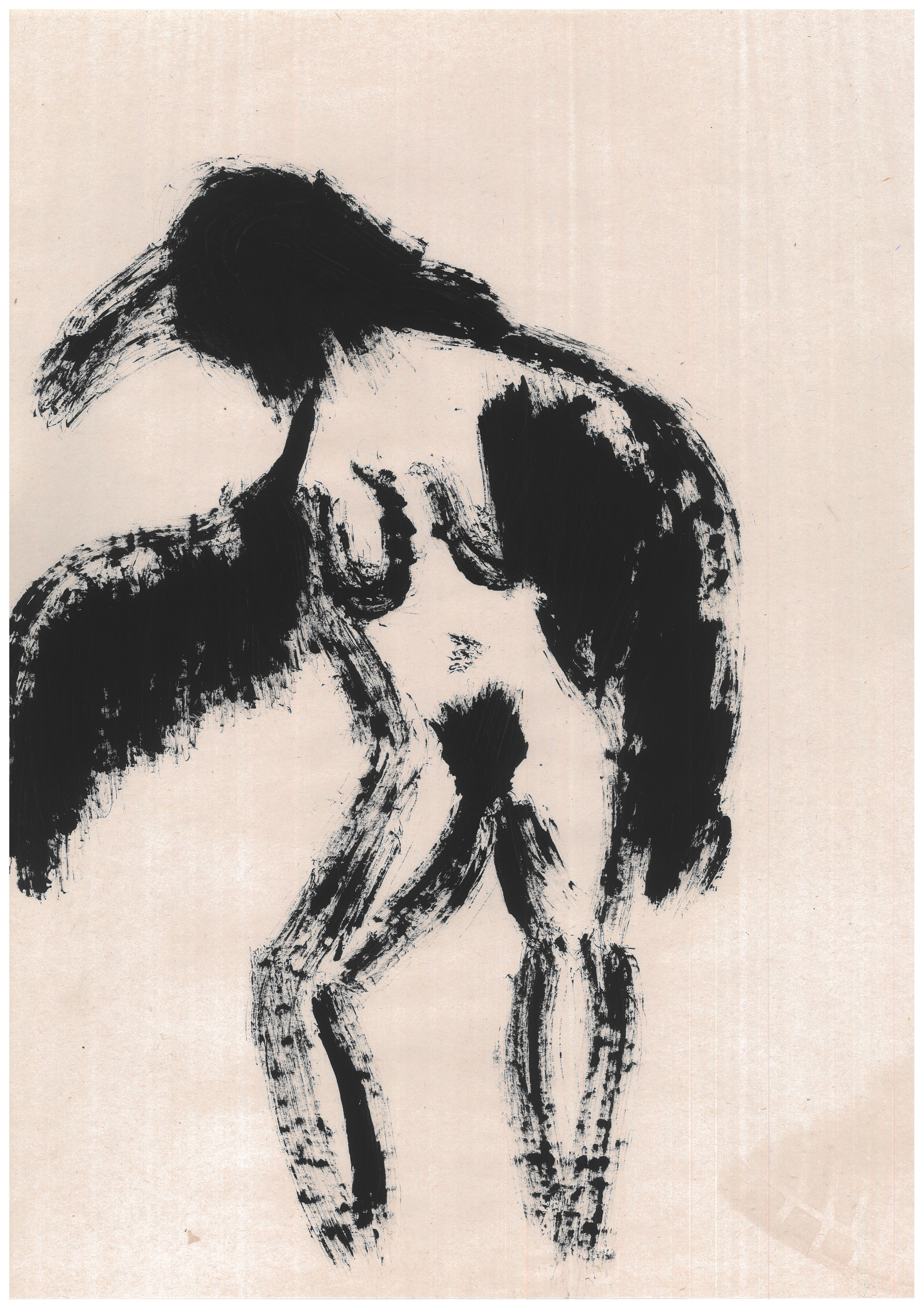 Dancing bird 2022. Haim Sokol’s artists website