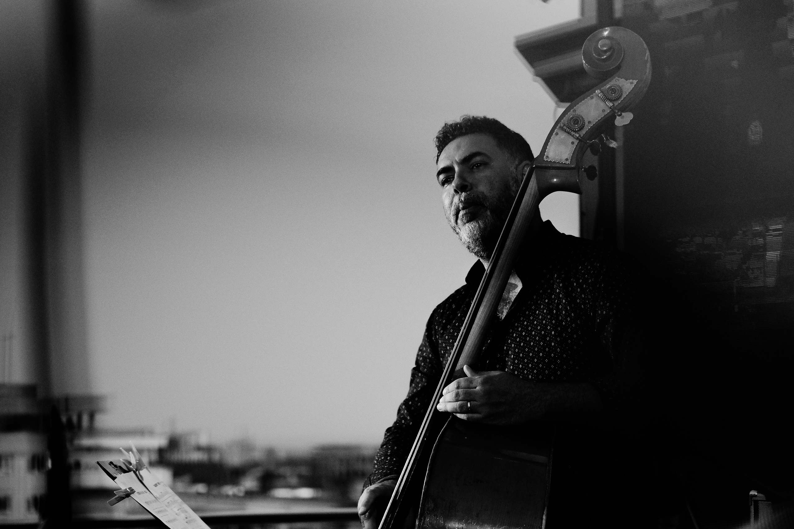 Razvan Cojanu. Hornetart