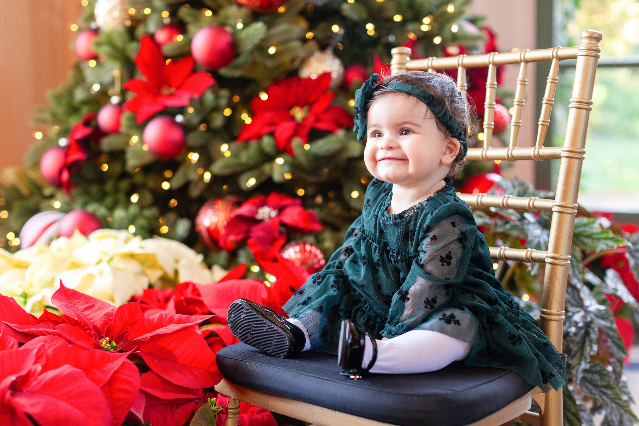 Family. Marina Pravda Photography San Francisco Bay Area