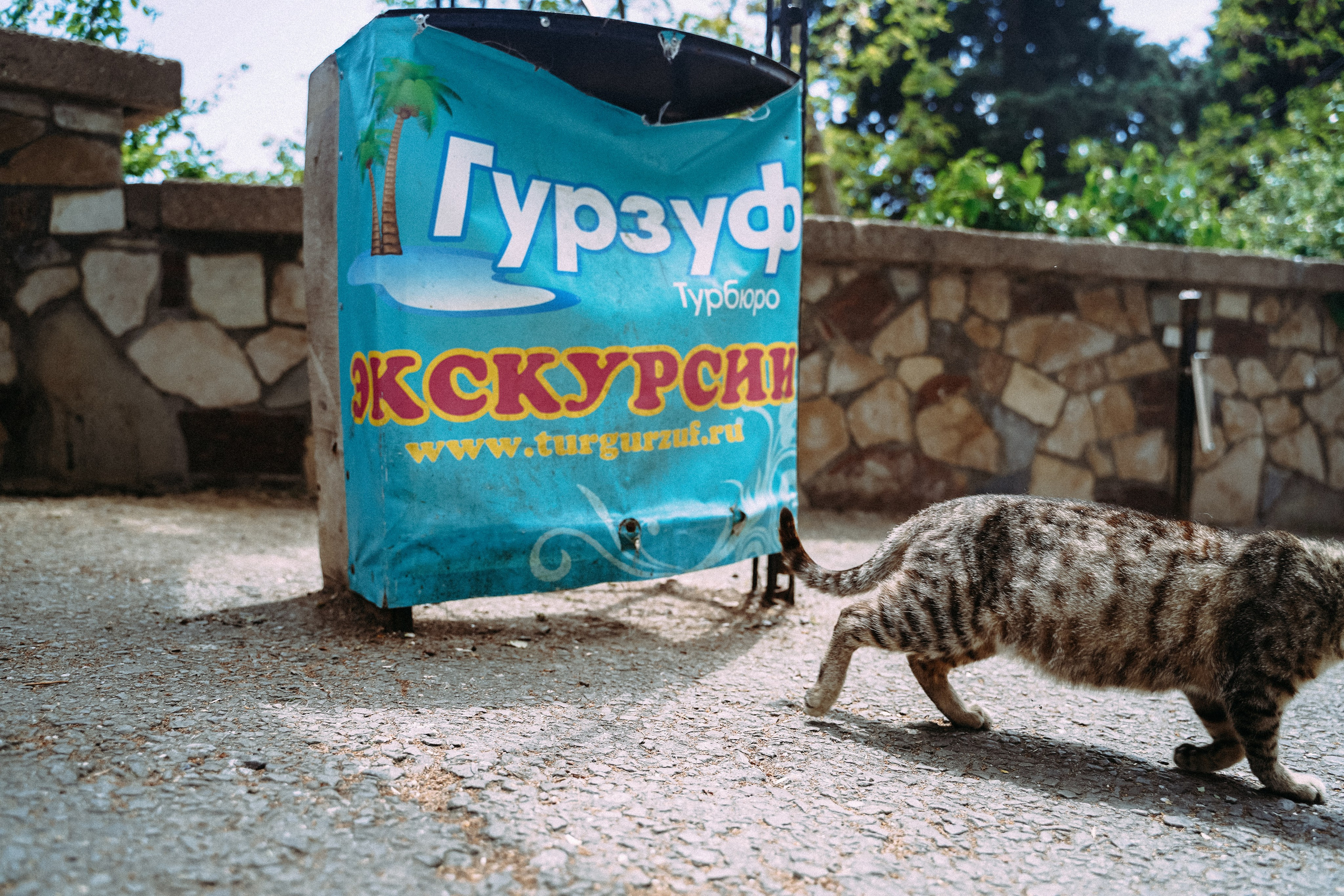 Кот шпедингера. Стрит-фотография, полная абсурда, идиотизма и красоты